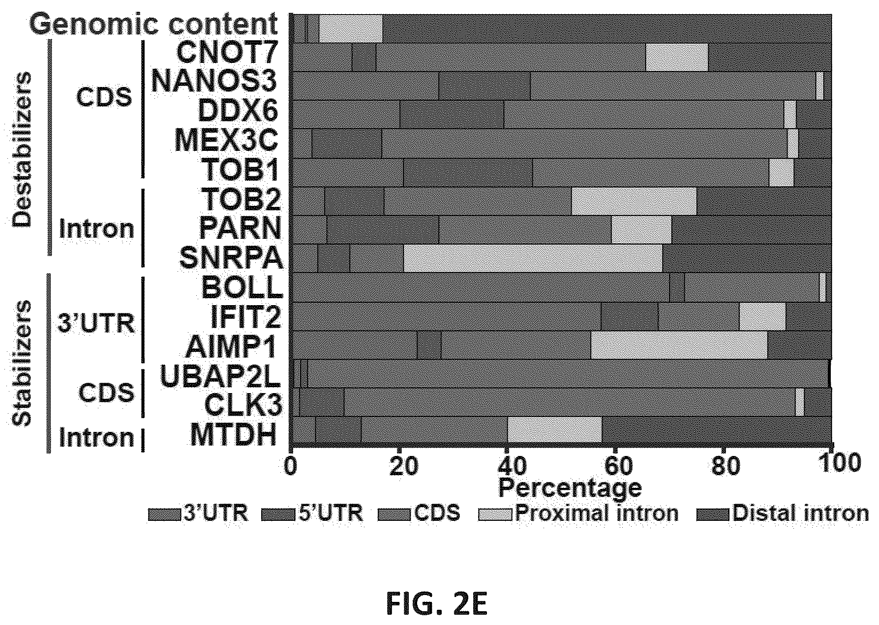 Patent US12139710 Figure 12 – Methods of modulating RNA translation