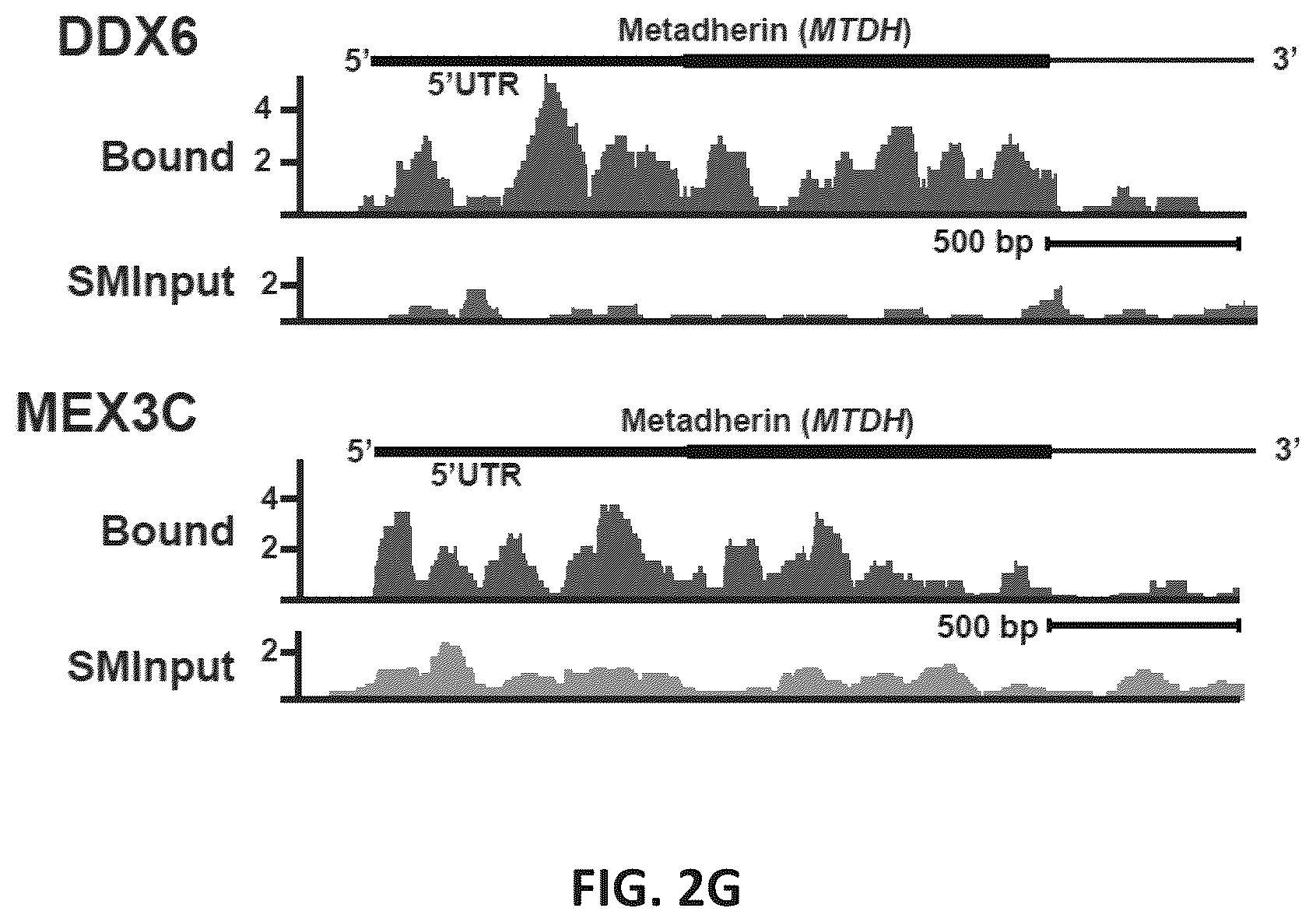 Patent US12139710 Figure 14 – Methods of modulating RNA translation
