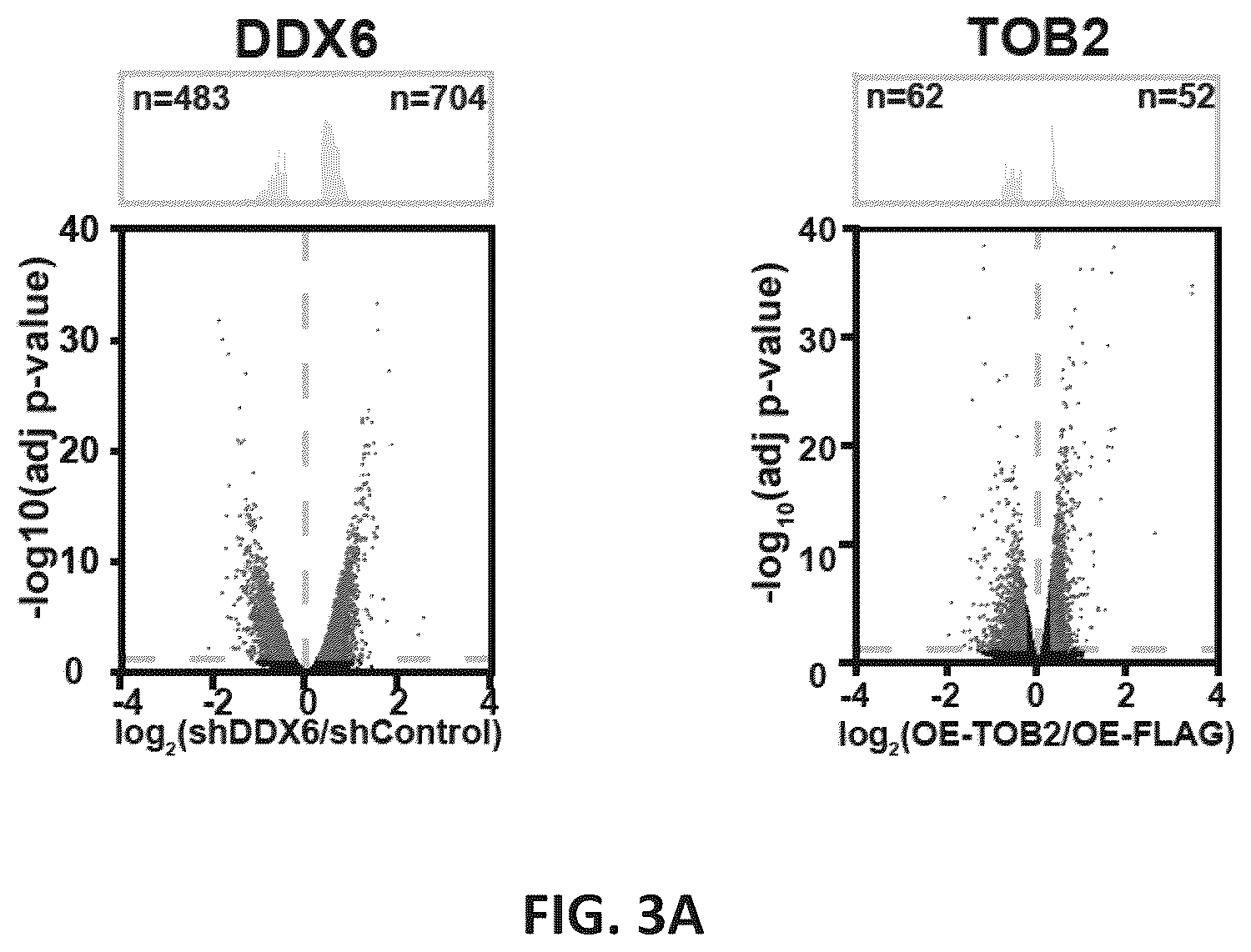 Patent US12139710 Figure 16 – Methods of modulating RNA translation