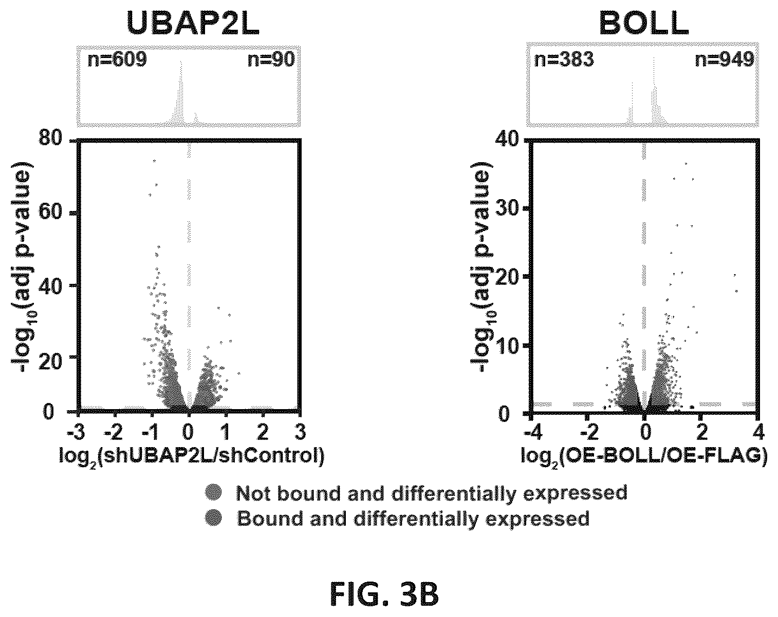 Patent US12139710 Figure 17 – Methods of modulating RNA translation