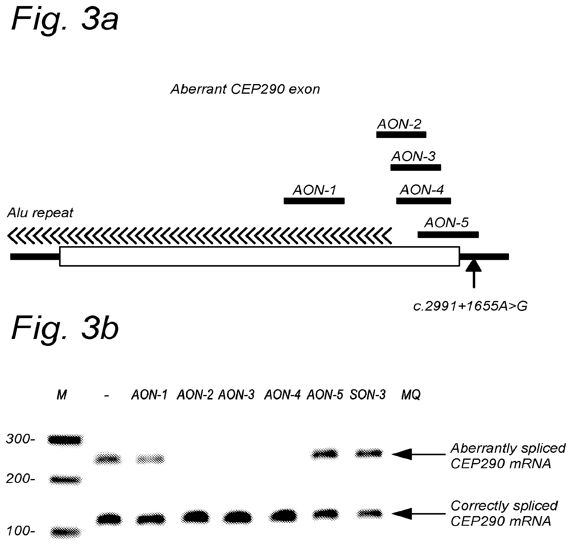 Patent US12139711 Figure 5 – Antisense oligonucleotides for the treatment of Leber congenital amaurosis