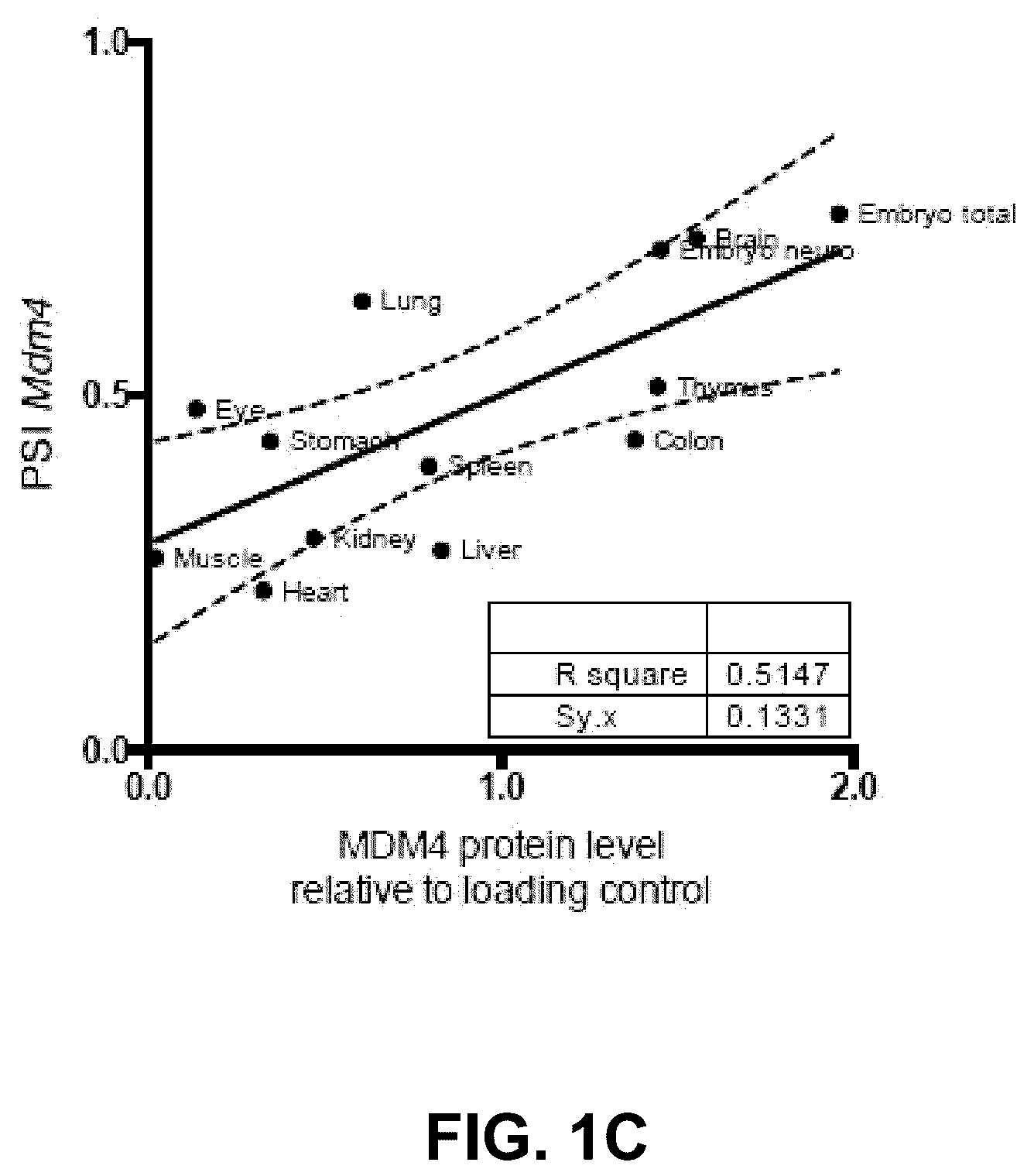 Patent US12139712 Figure 2 – Direct and selective inhibition of MDM4 for treatment of cancer