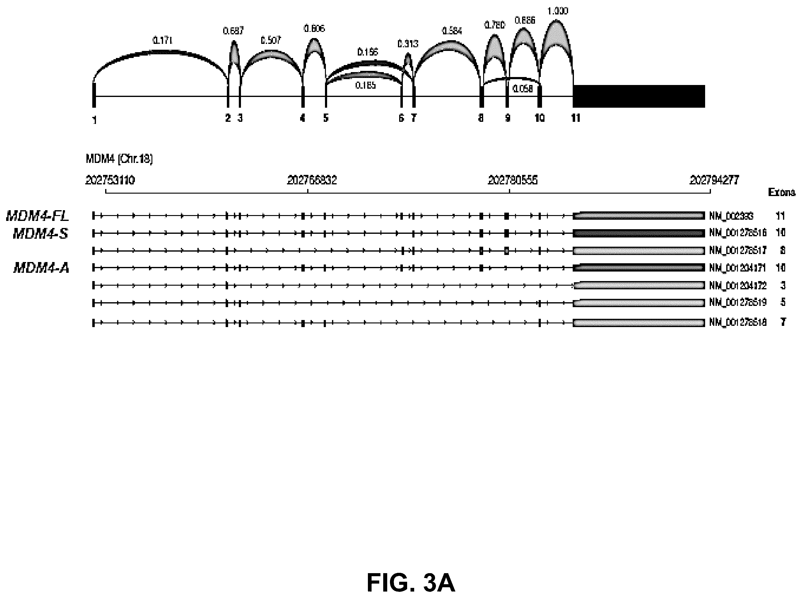 Patent US12139712 Figure 4 – Direct and selective inhibition of MDM4 for treatment of cancer