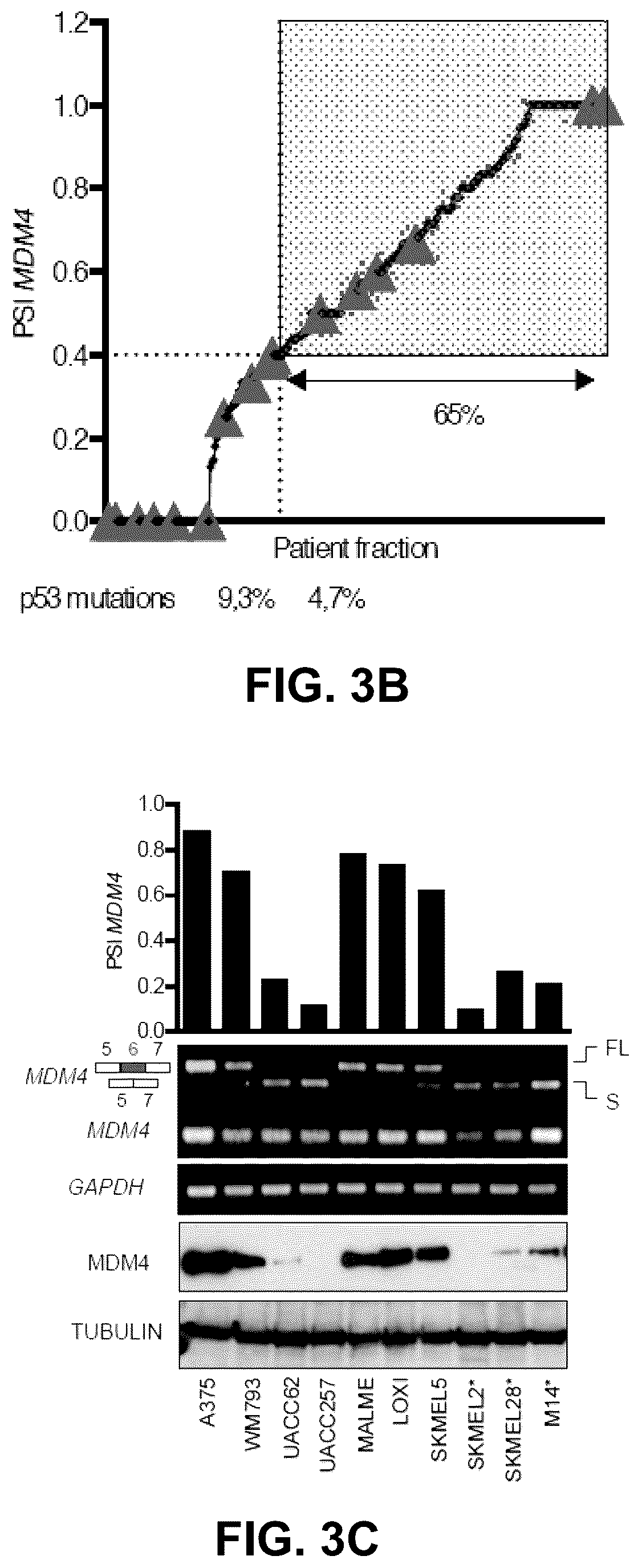 Patent US12139712 Figure 5 – Direct and selective inhibition of MDM4 for treatment of cancer