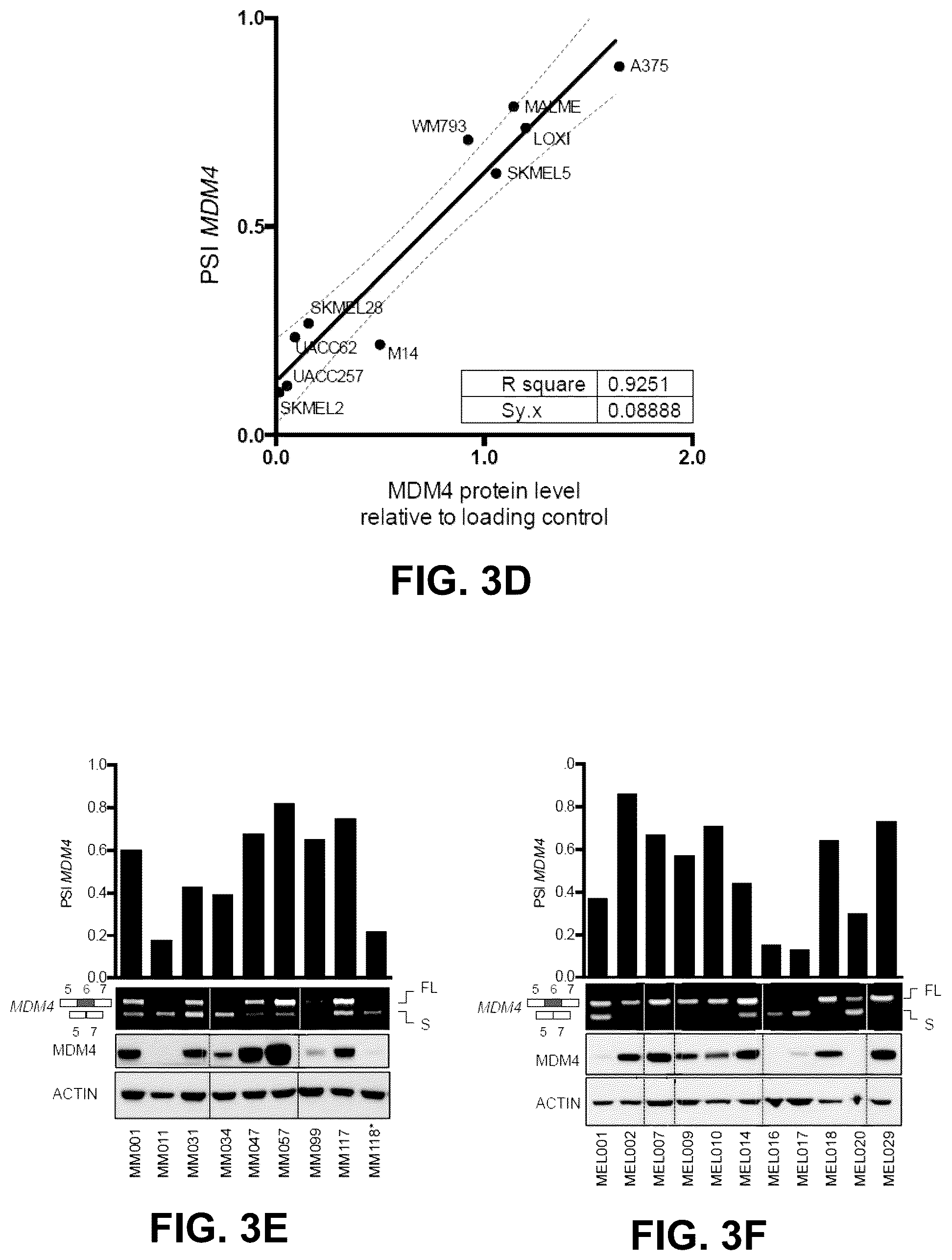 Patent US12139712 Figure 6 – Direct and selective inhibition of MDM4 for treatment of cancer