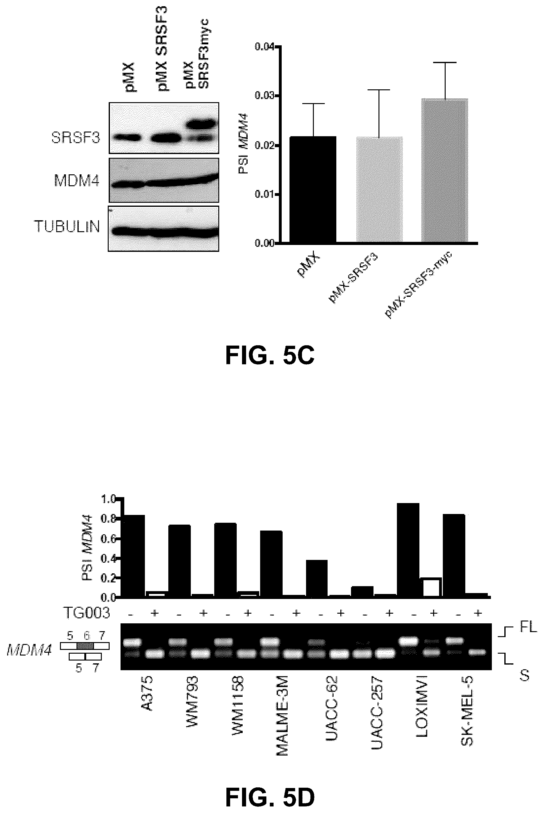 Patent US12139712 Figure 10 – Direct and selective inhibition of MDM4 for treatment of cancer