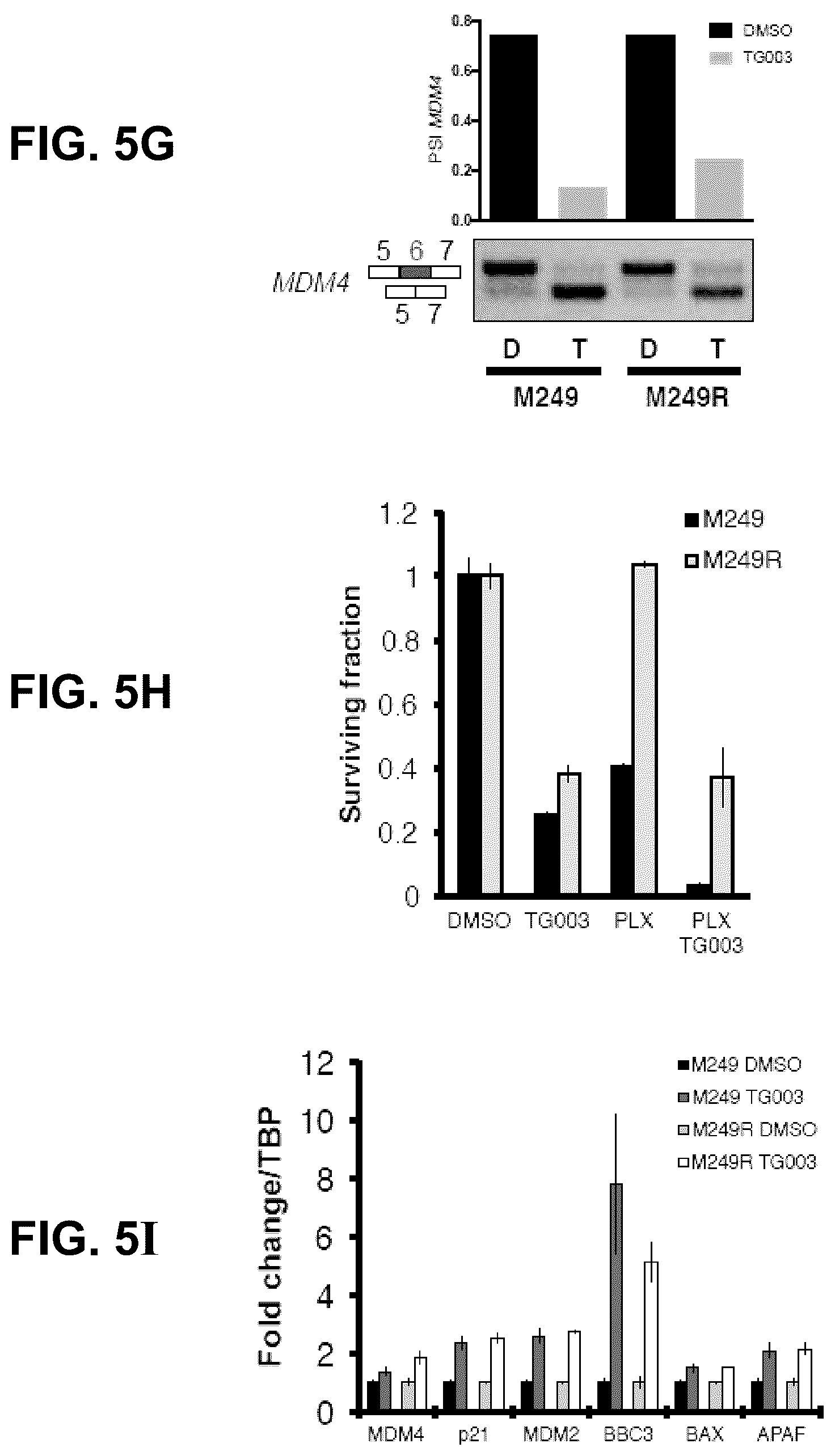 Patent US12139712 Figure 12 – Direct and selective inhibition of MDM4 for treatment of cancer