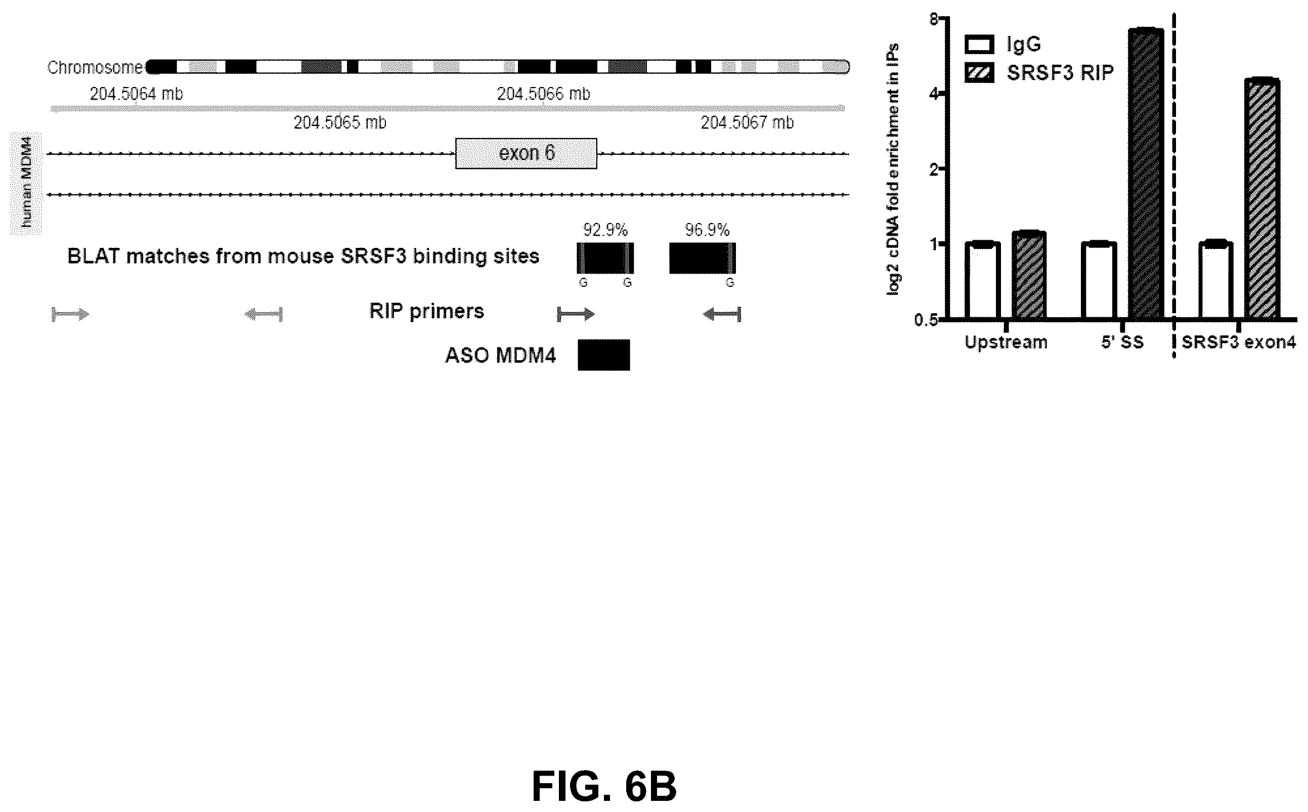 Patent US12139712 Figure 14 – Direct and selective inhibition of MDM4 for treatment of cancer