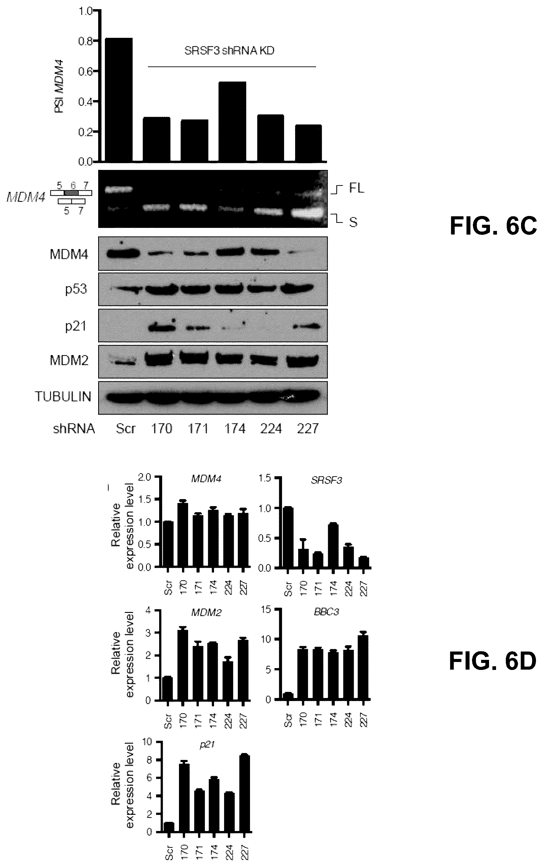 Patent US12139712 Figure 15 – Direct and selective inhibition of MDM4 for treatment of cancer