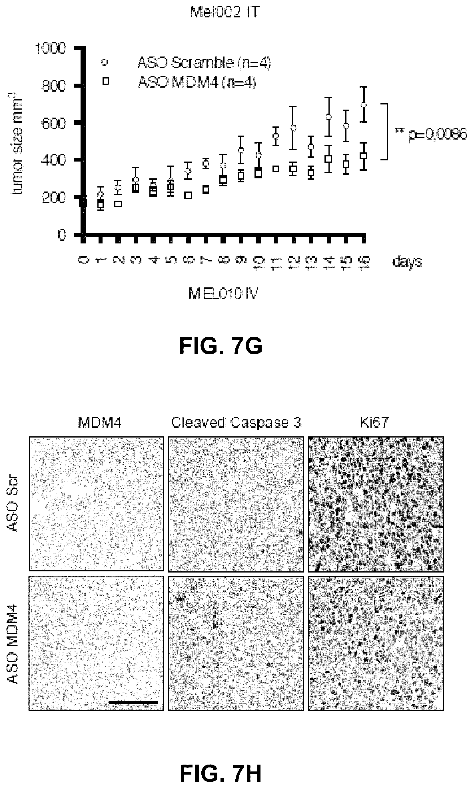 Patent US12139712 Figure 20 – Direct and selective inhibition of MDM4 for treatment of cancer