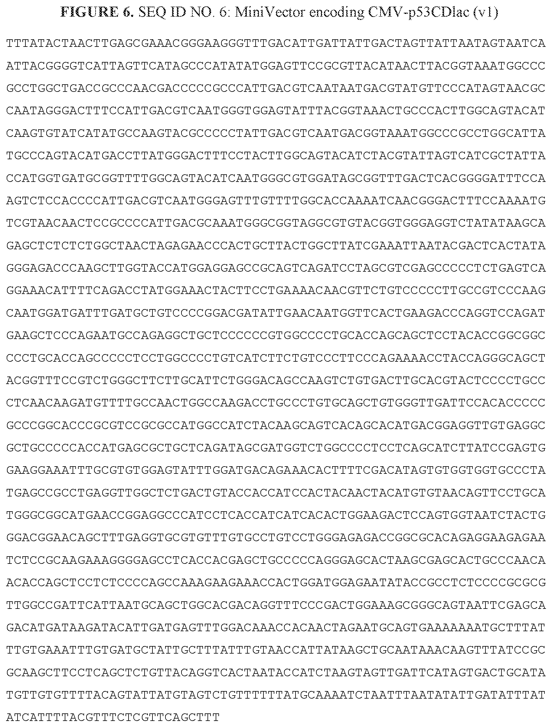 Patent US12139714 Figure 3 – P53, P63, and P73 homo-tetrameric compositions
