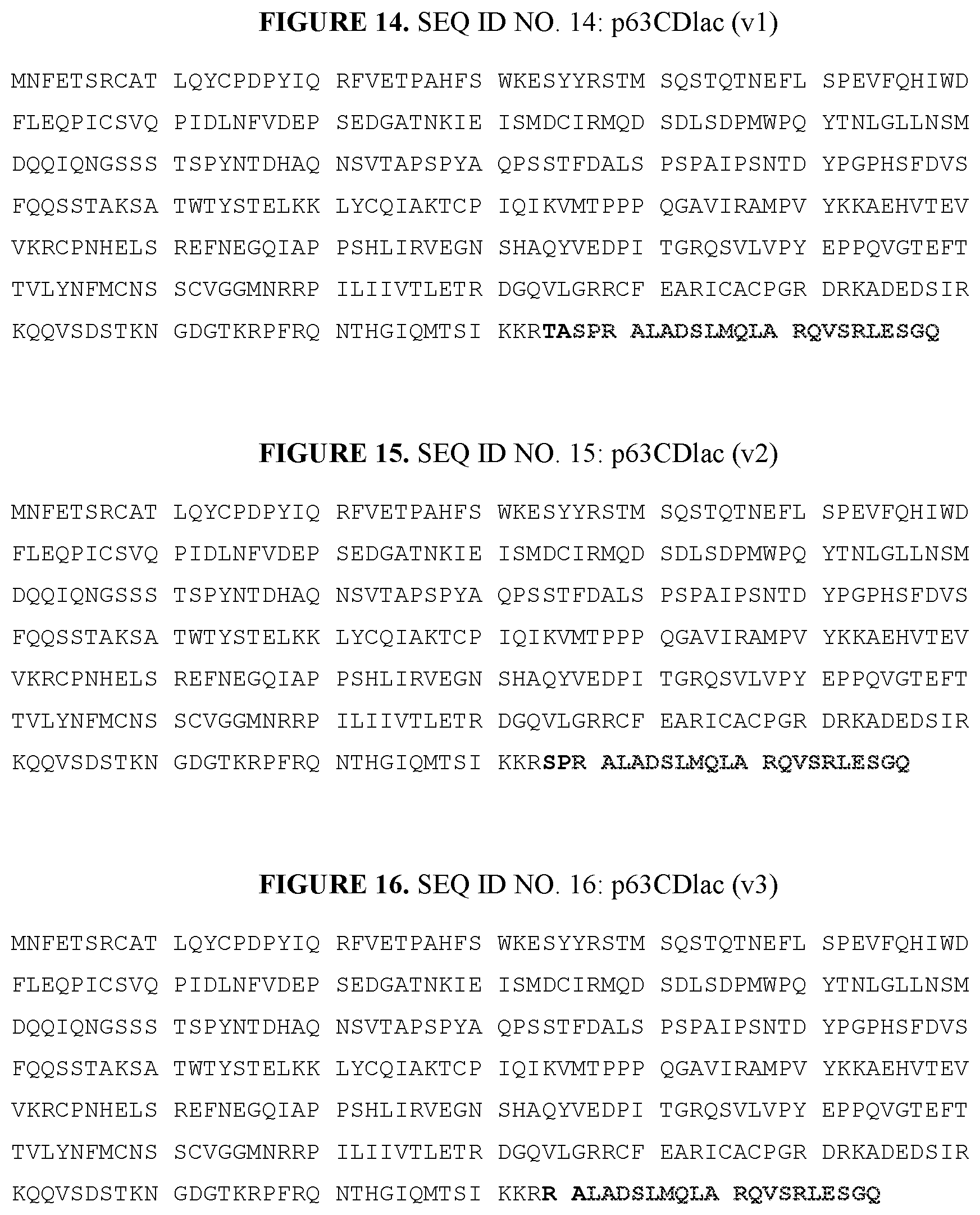 Patent US12139714 Figure 6 – P53, P63, and P73 homo-tetrameric compositions