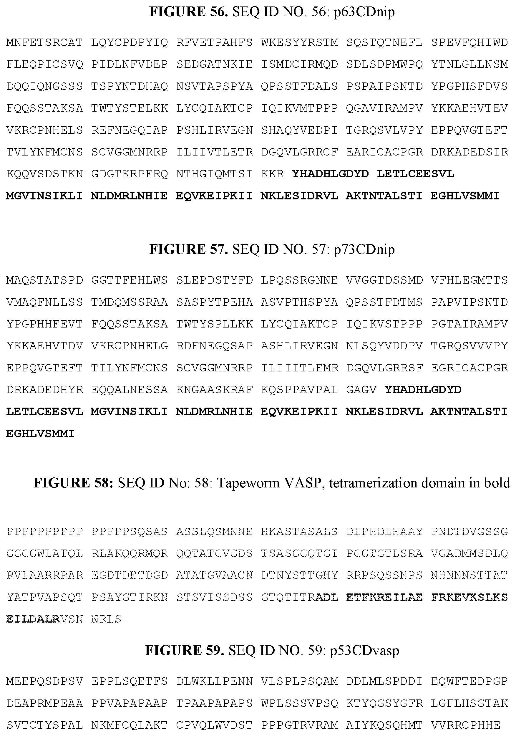 Patent US12139714 Figure 19 – P53, P63, and P73 homo-tetrameric compositions
