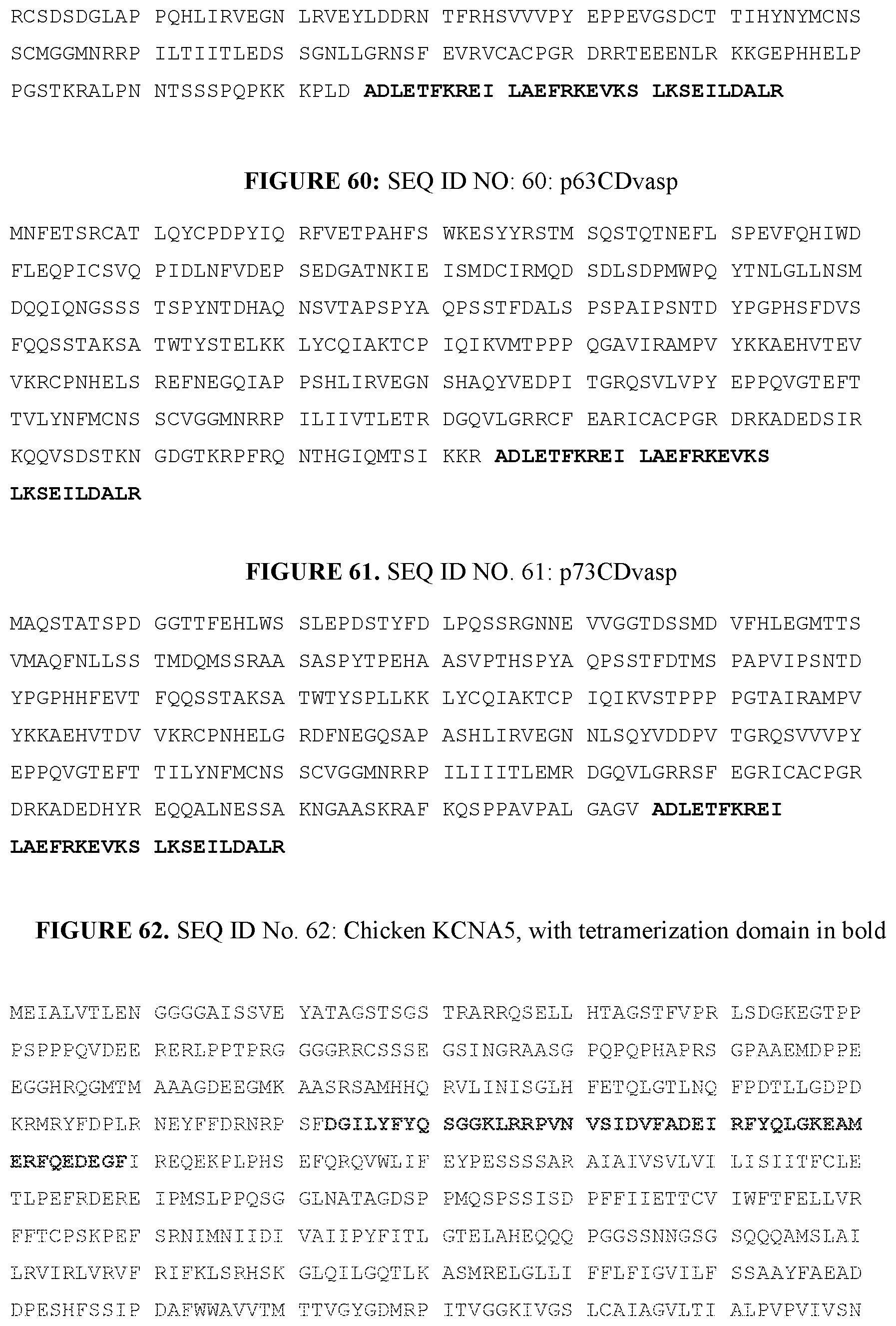 Patent US12139714 Figure 20 – P53, P63, and P73 homo-tetrameric compositions