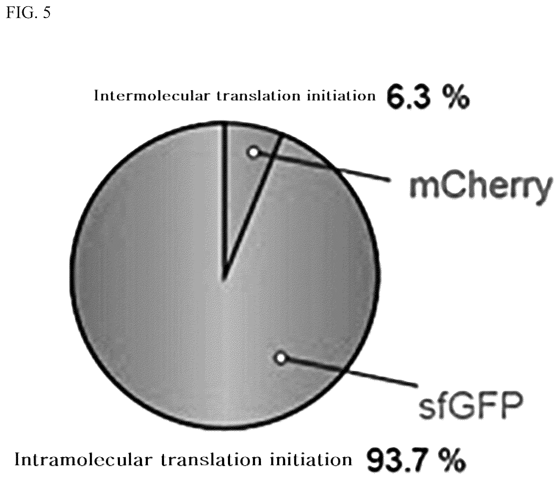 Patent US12139715 Figure 5 – Gene expression cassette capable of initiating translation after completion of transcription for producing high-quality recombinant protein in bacteria