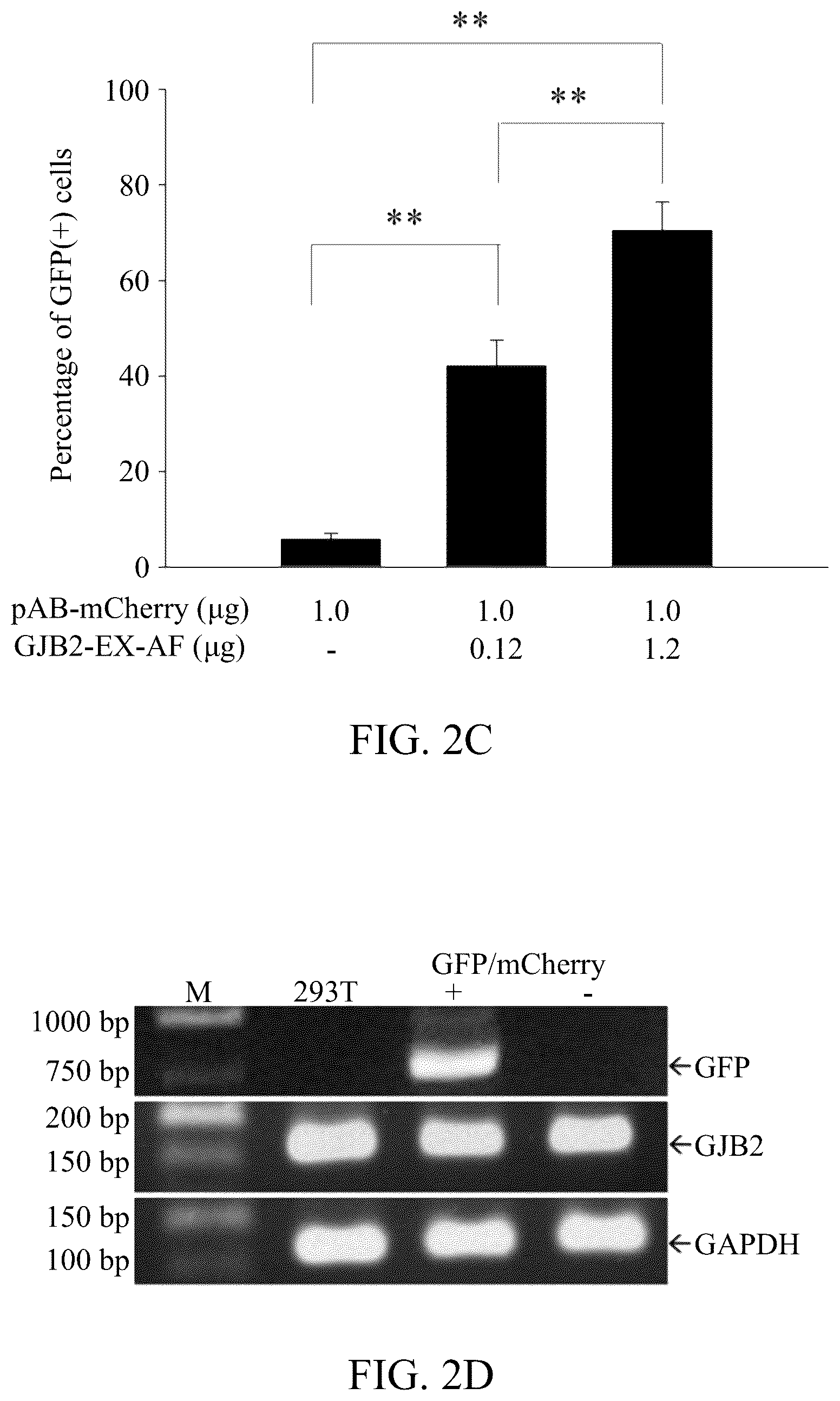 Patent US12139716 Figure 5 – Composition for editing a nucleic acid sequence and method using the same