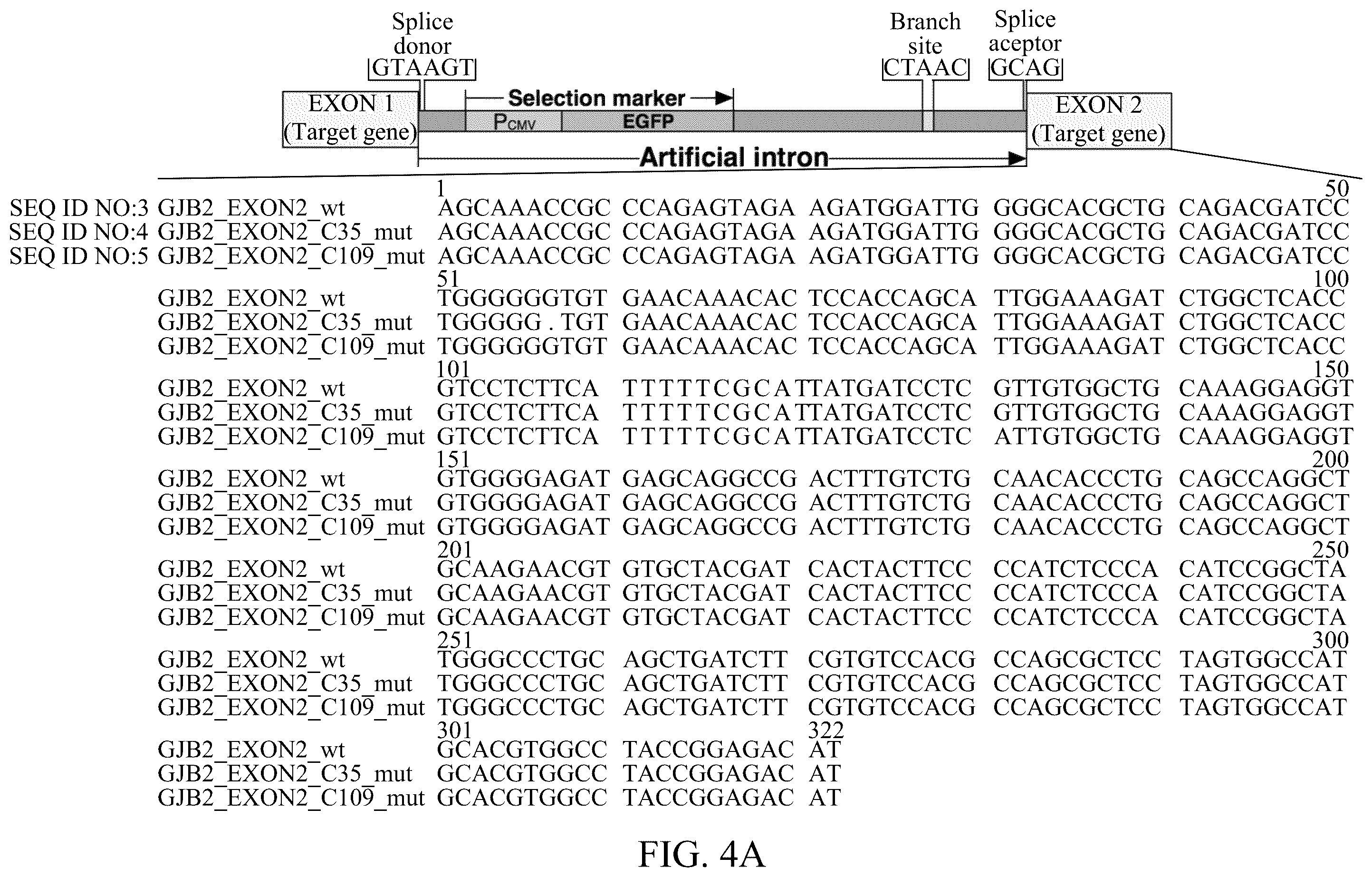 Patent US12139716 Figure 7 – Composition for editing a nucleic acid sequence and method using the same