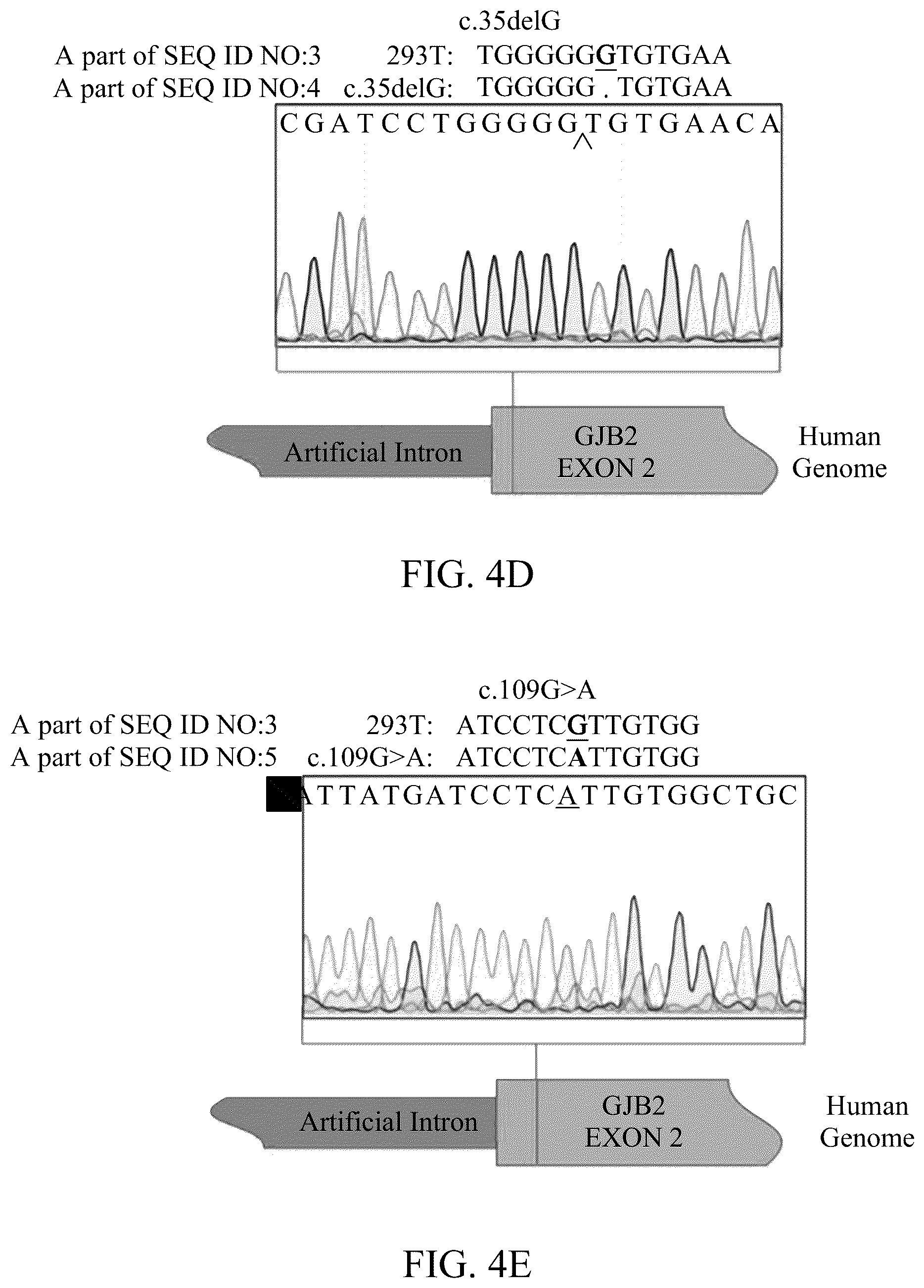 Patent US12139716 Figure 9 – Composition for editing a nucleic acid sequence and method using the same
