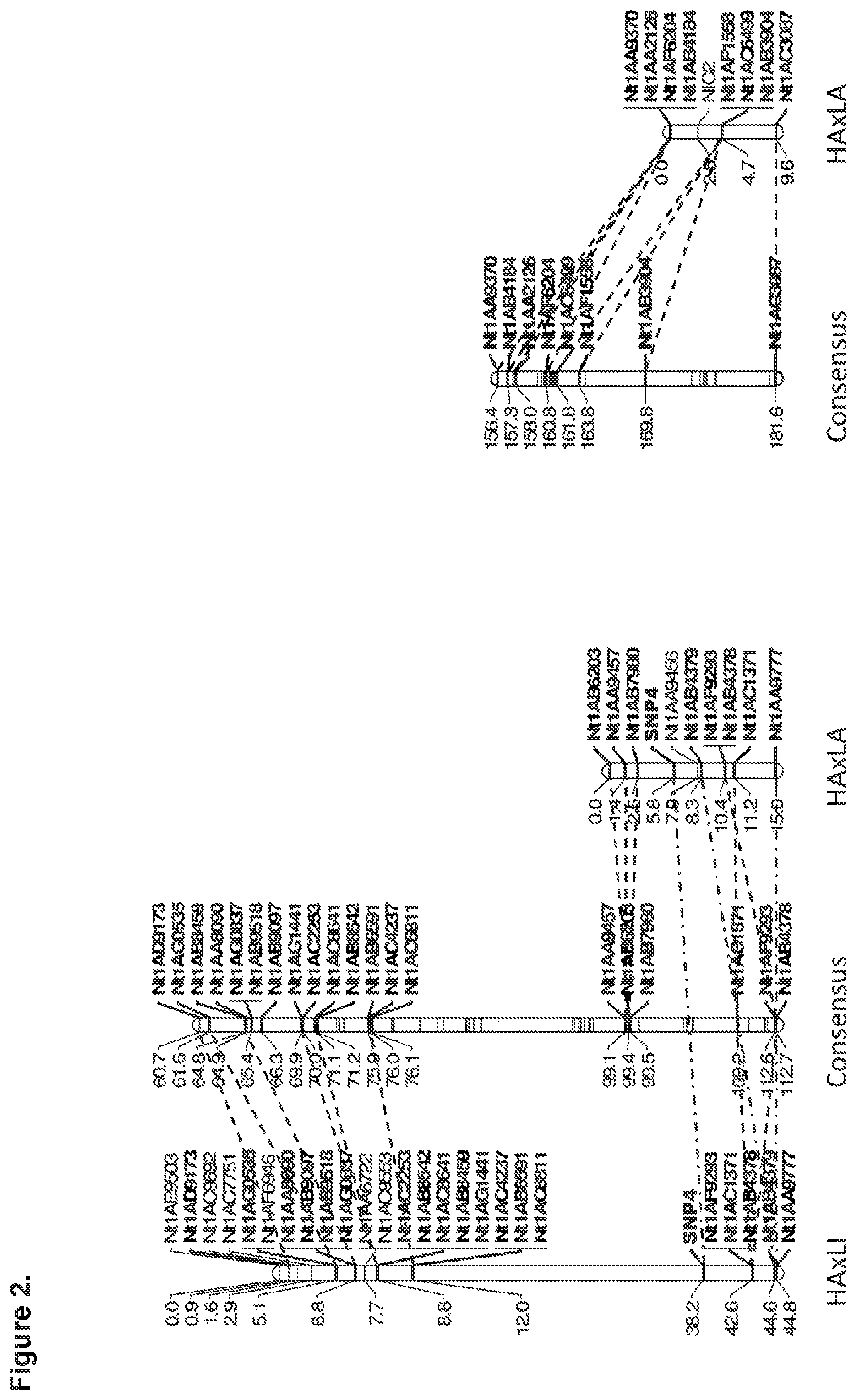 Patent US12139718 Figure 2 – Methods of decreasing total alkaloid content in tobacco