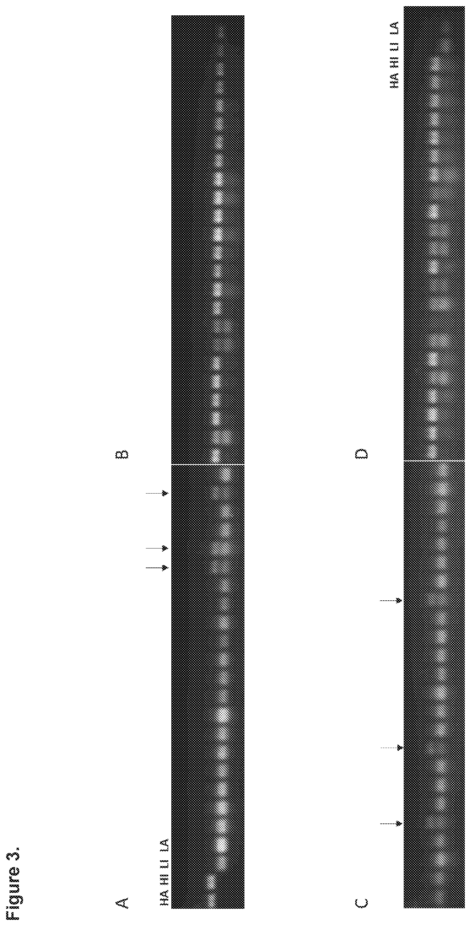 Patent US12139718 Figure 3 – Methods of decreasing total alkaloid content in tobacco