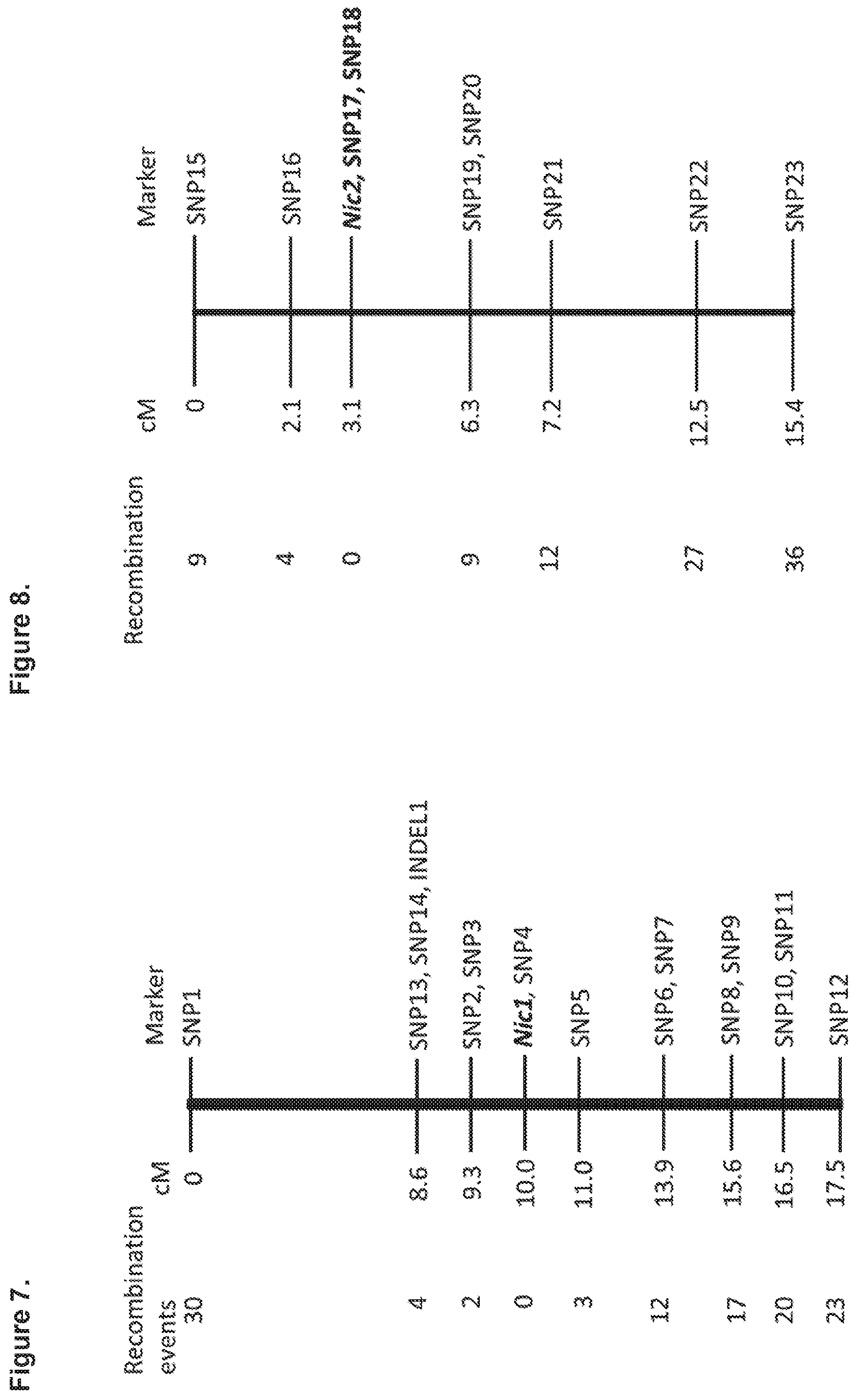 Patent US12139718 Figure 8 – Methods of decreasing total alkaloid content in tobacco