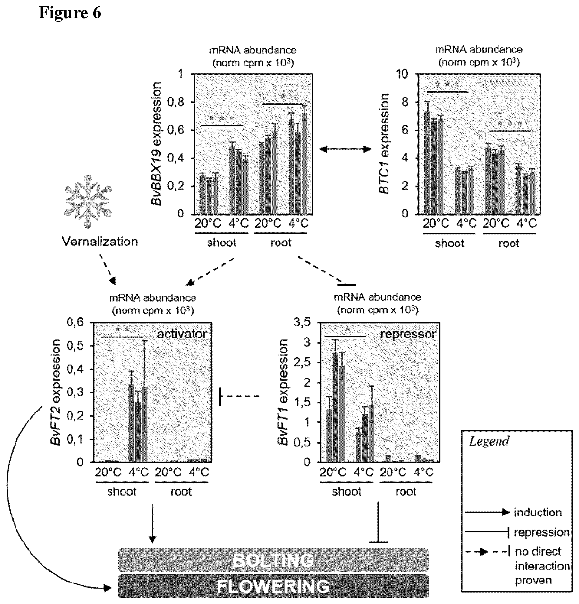 Patent US12139719 Figure 6 – Method for increasing cold or frost tolerance in a plant