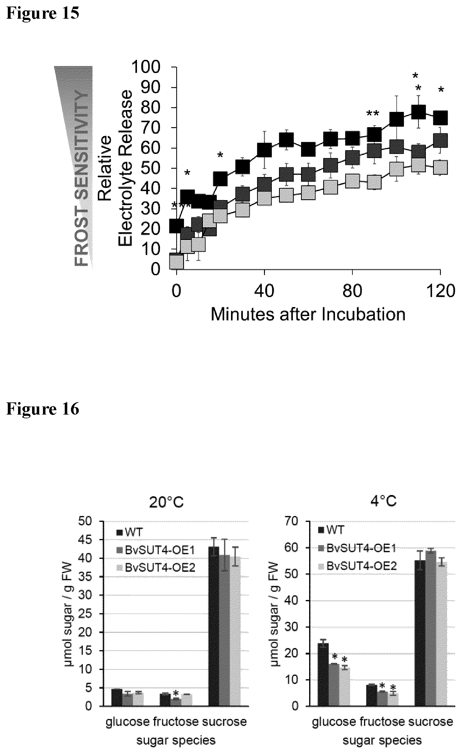 Patent US12139719 Figure 15 – Method for increasing cold or frost tolerance in a plant