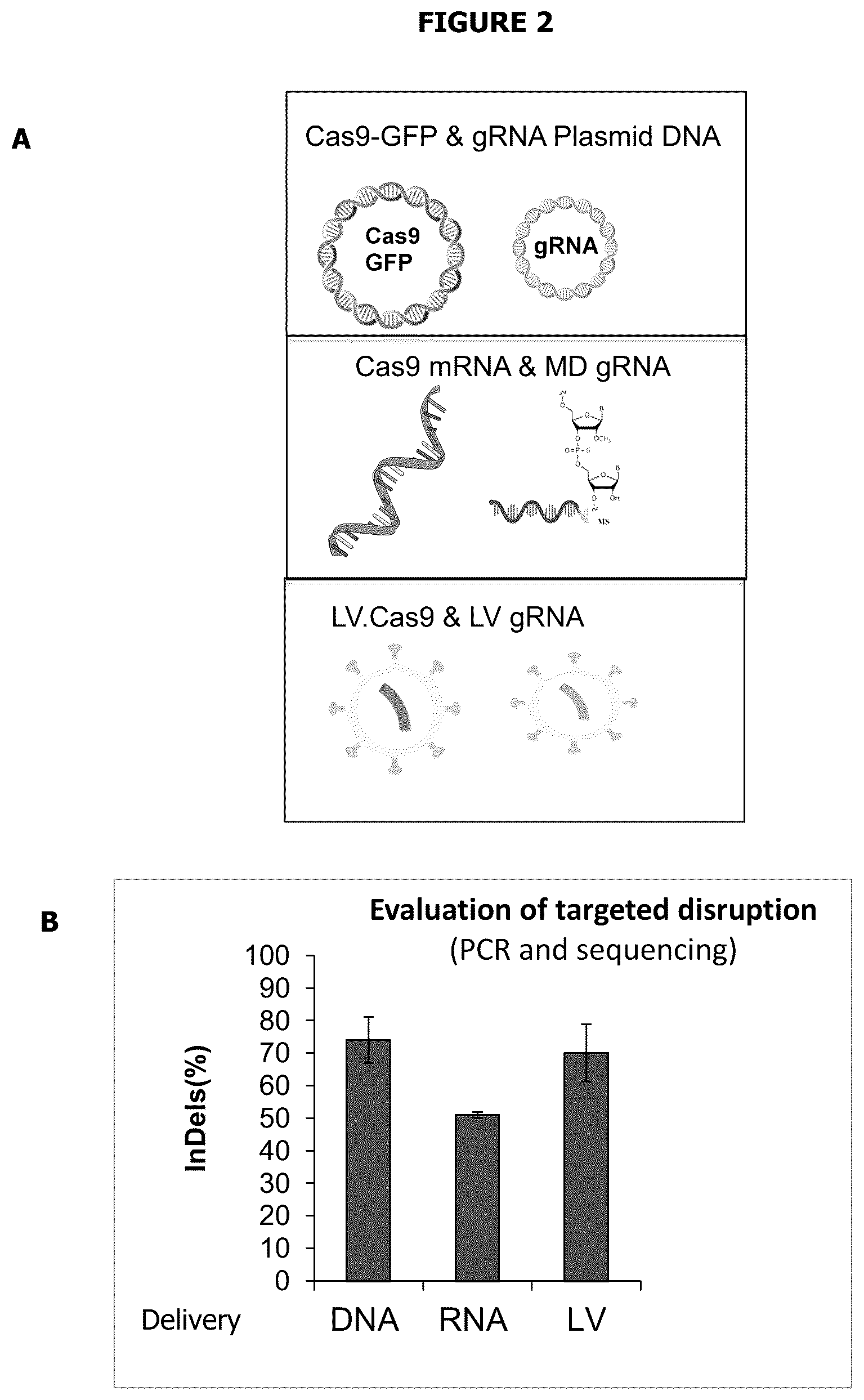 Patent US12139720 Figure 4 – Recombinant lentiviral vector for stem cell- based gene therapy of sickle cell disorder