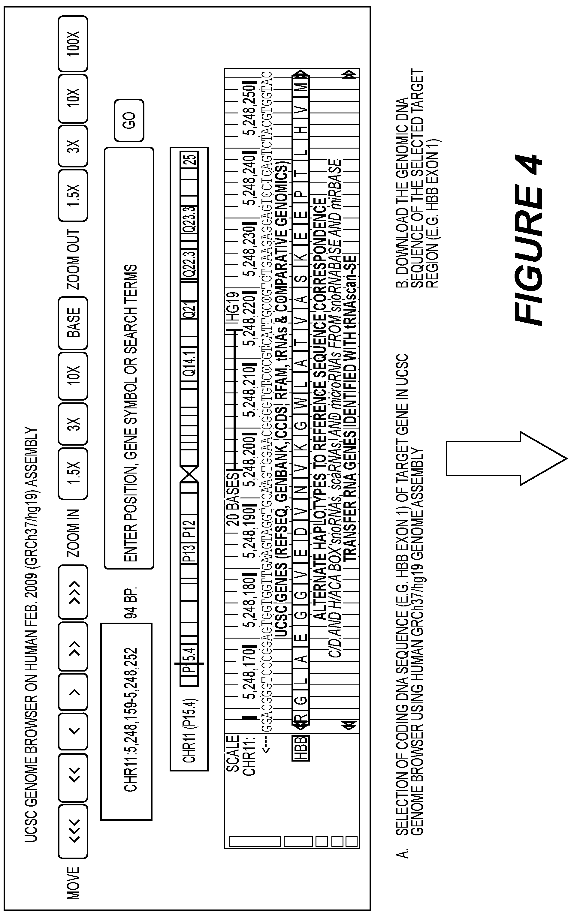 Patent US12139720 Figure 6 – Recombinant lentiviral vector for stem cell- based gene therapy of sickle cell disorder