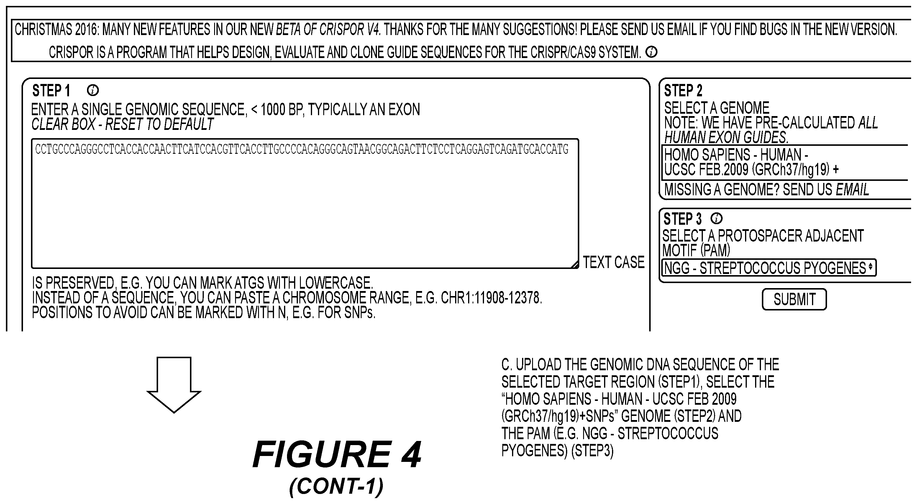 Patent US12139720 Figure 7 – Recombinant lentiviral vector for stem cell- based gene therapy of sickle cell disorder