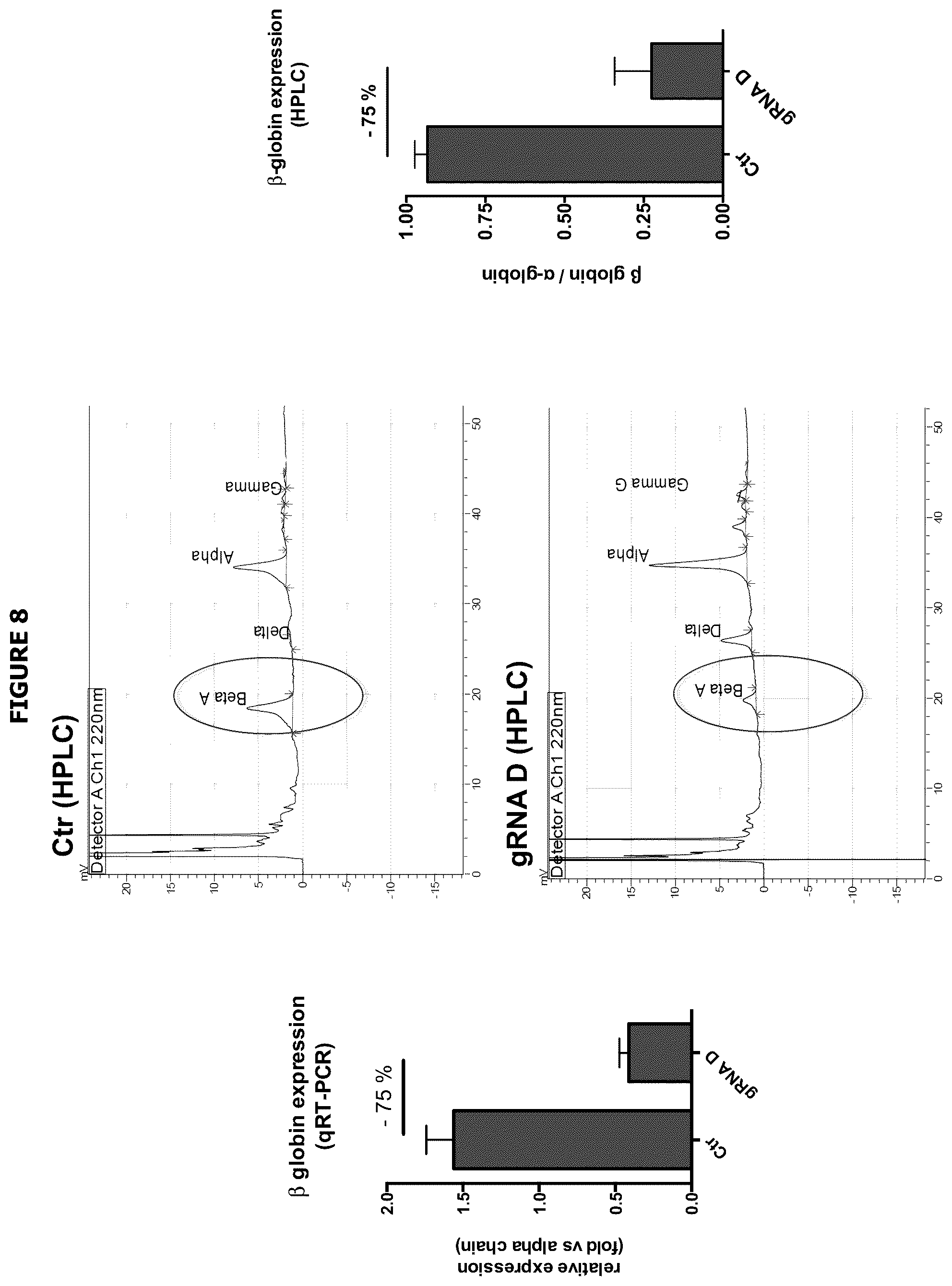 Patent US12139720 Figure 13 – Recombinant lentiviral vector for stem cell- based gene therapy of sickle cell disorder