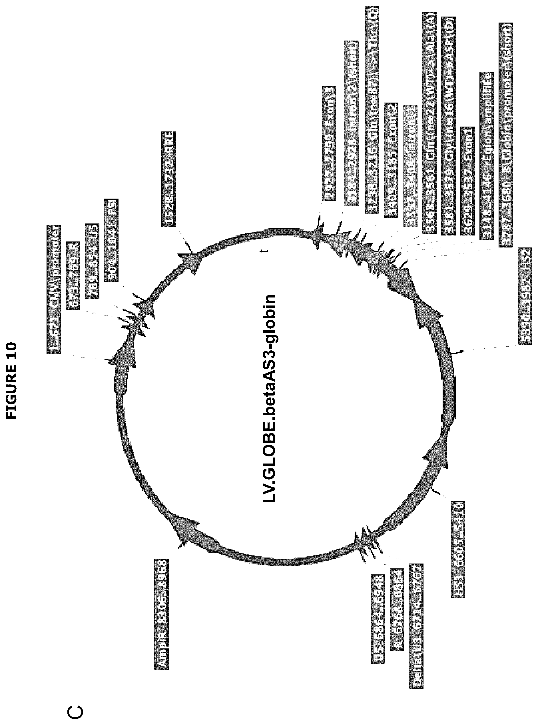 Patent US12139720 Figure 16 – Recombinant lentiviral vector for stem cell- based gene therapy of sickle cell disorder