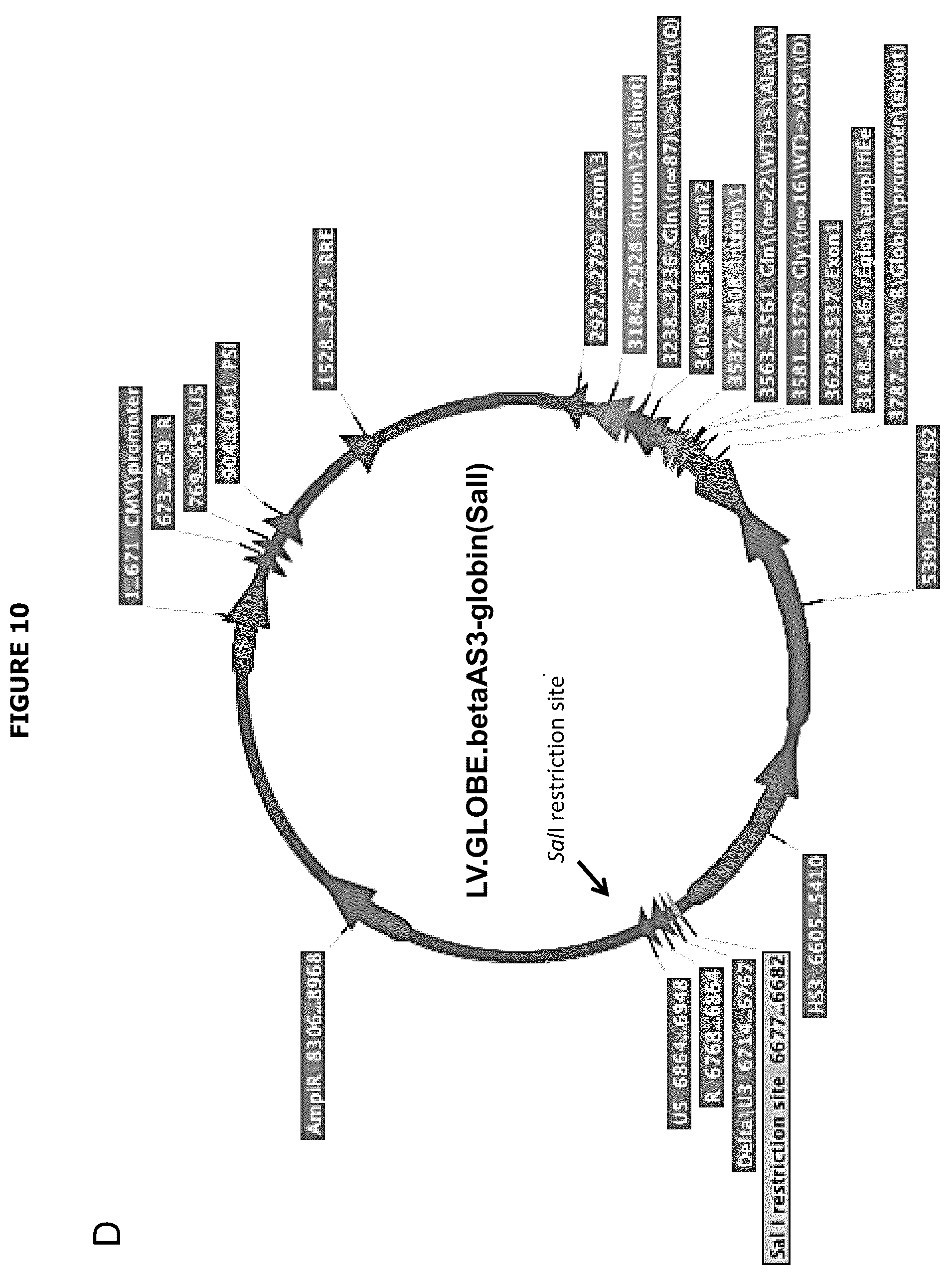 Patent US12139720 Figure 17 – Recombinant lentiviral vector for stem cell- based gene therapy of sickle cell disorder
