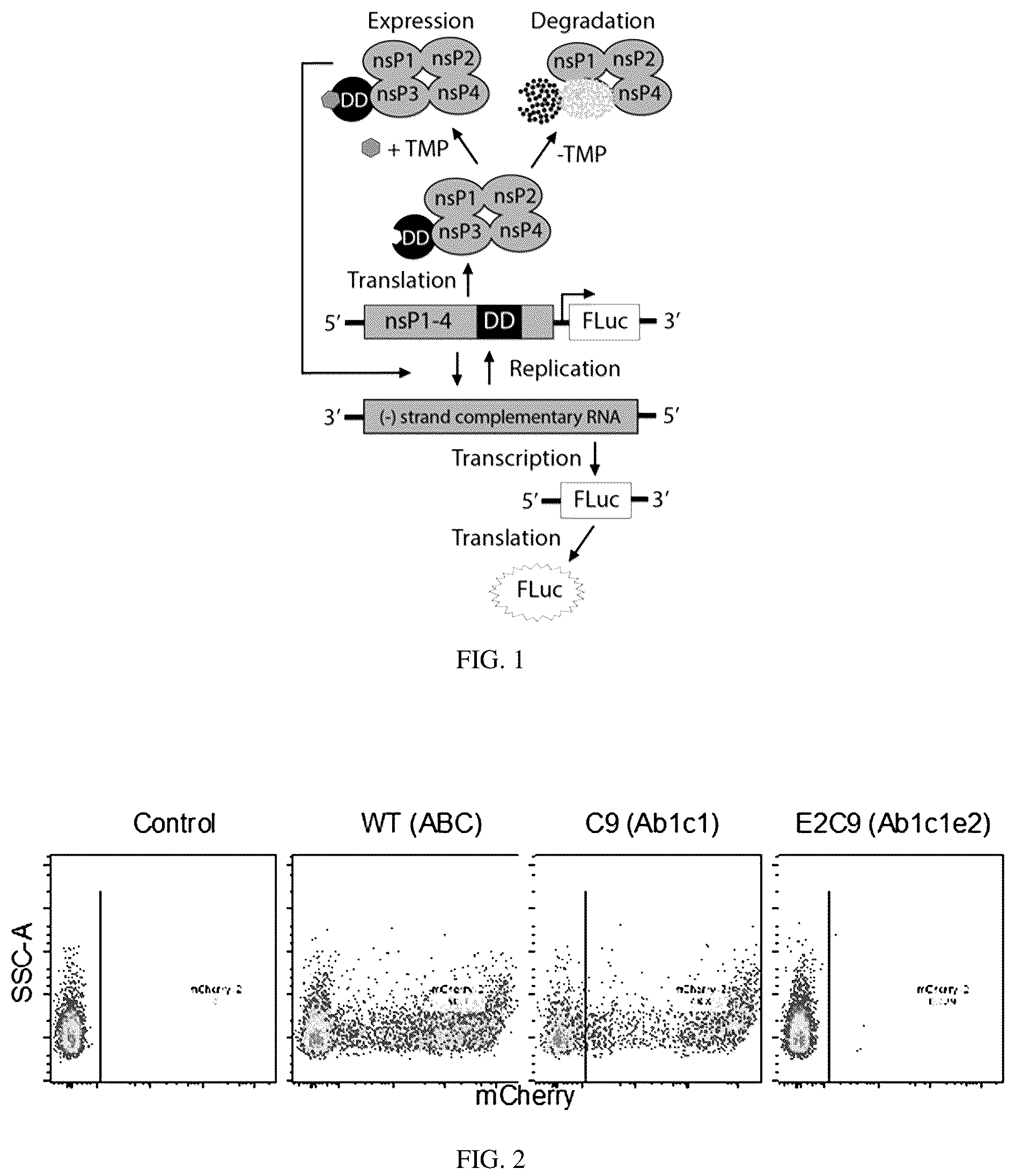 Patent US12139721 Figure 1 – Control of replication and transcription of self-replicating RNA in response to small molecules