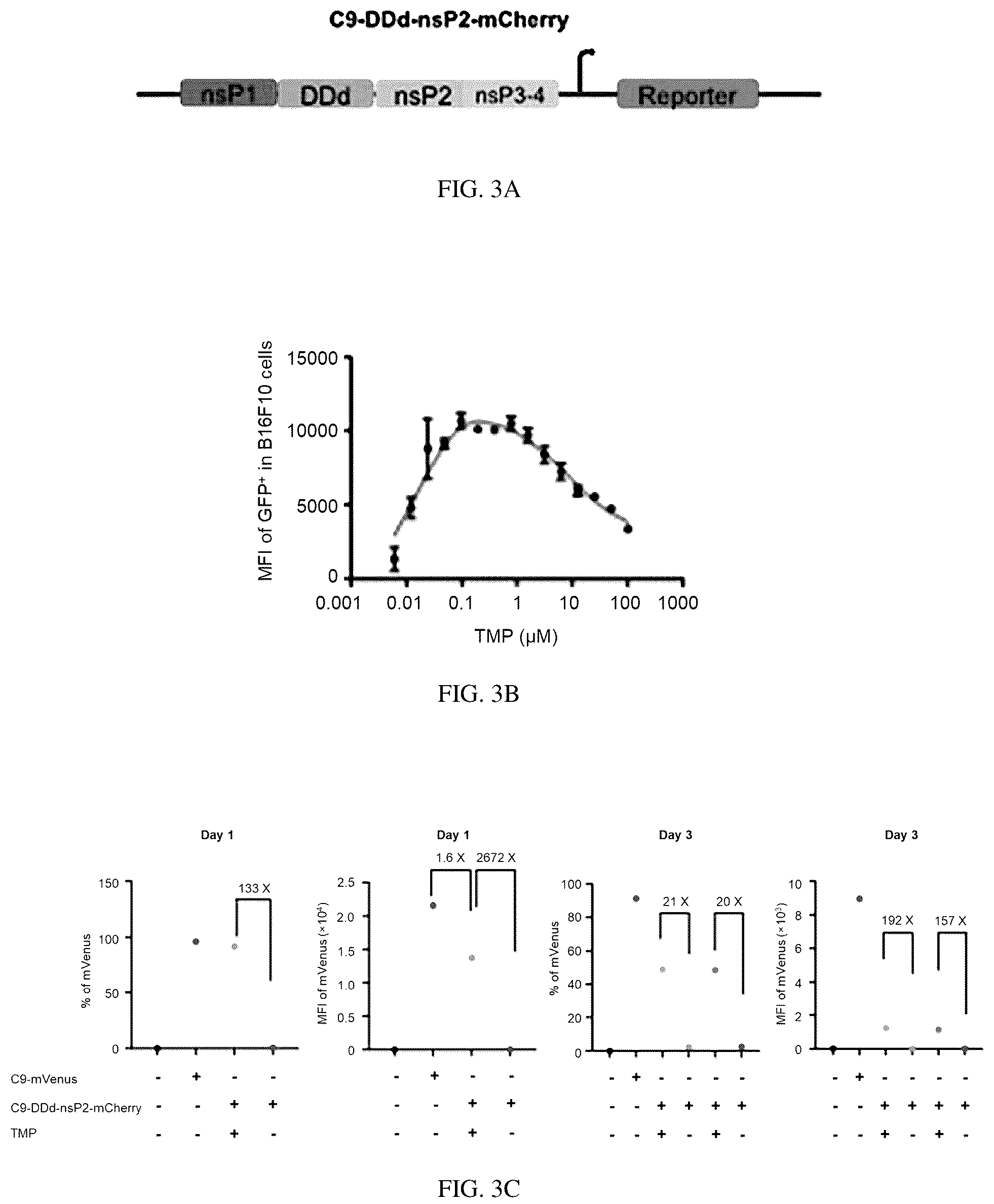 Patent US12139721 Figure 2 – Control of replication and transcription of self-replicating RNA in response to small molecules