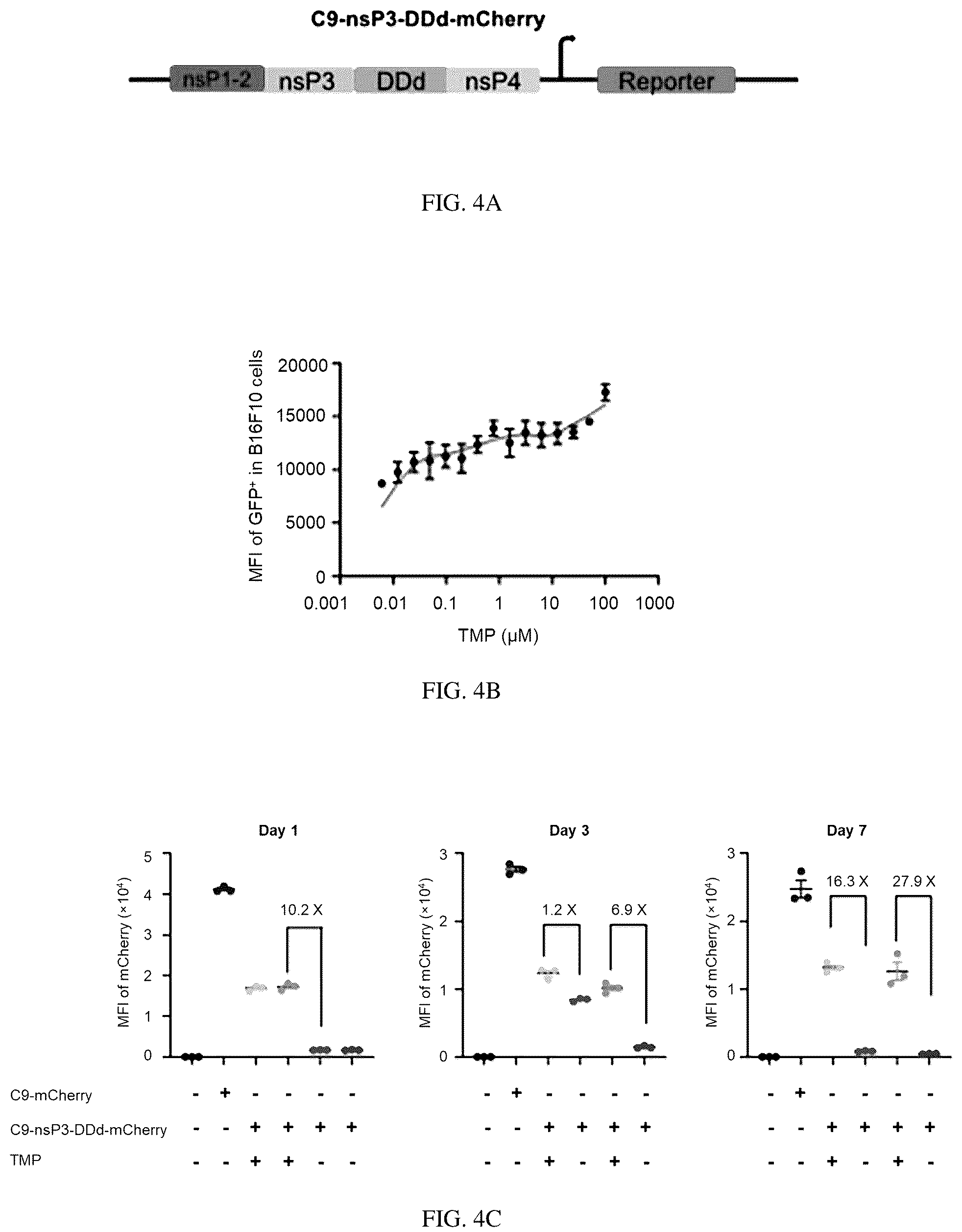 Patent US12139721 Figure 3 – Control of replication and transcription of self-replicating RNA in response to small molecules