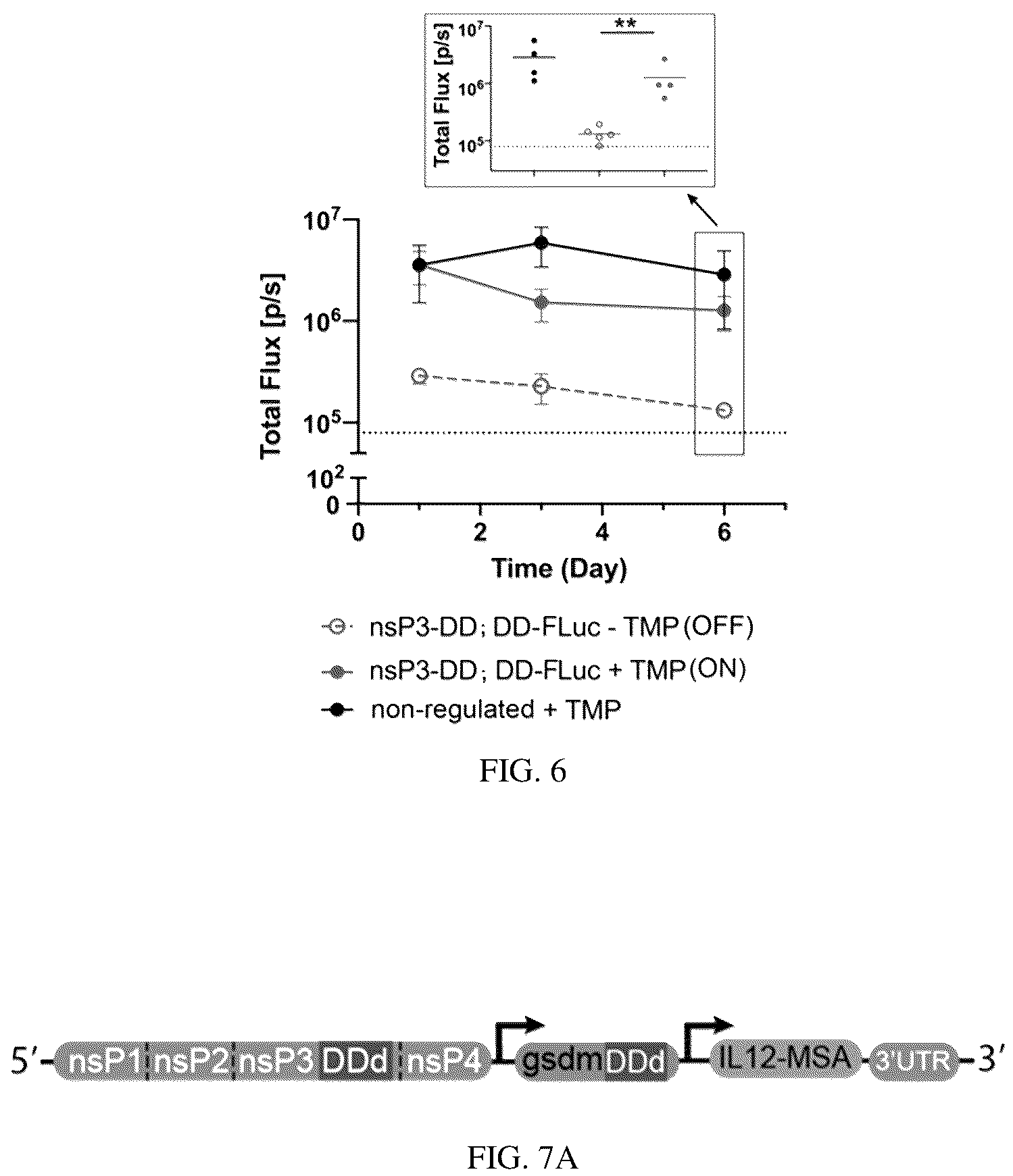 Patent US12139721 Figure 5 – Control of replication and transcription of self-replicating RNA in response to small molecules