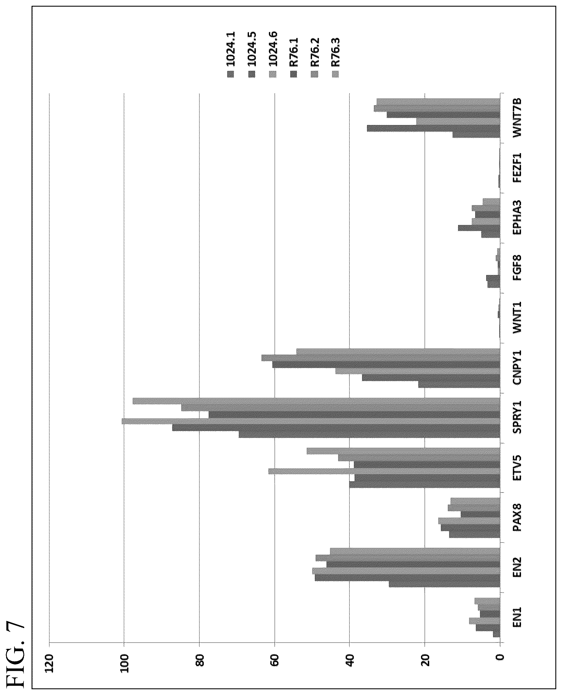 Patent US12139722 Figure 7 – Methods for generating and using organoids and tissue therein
