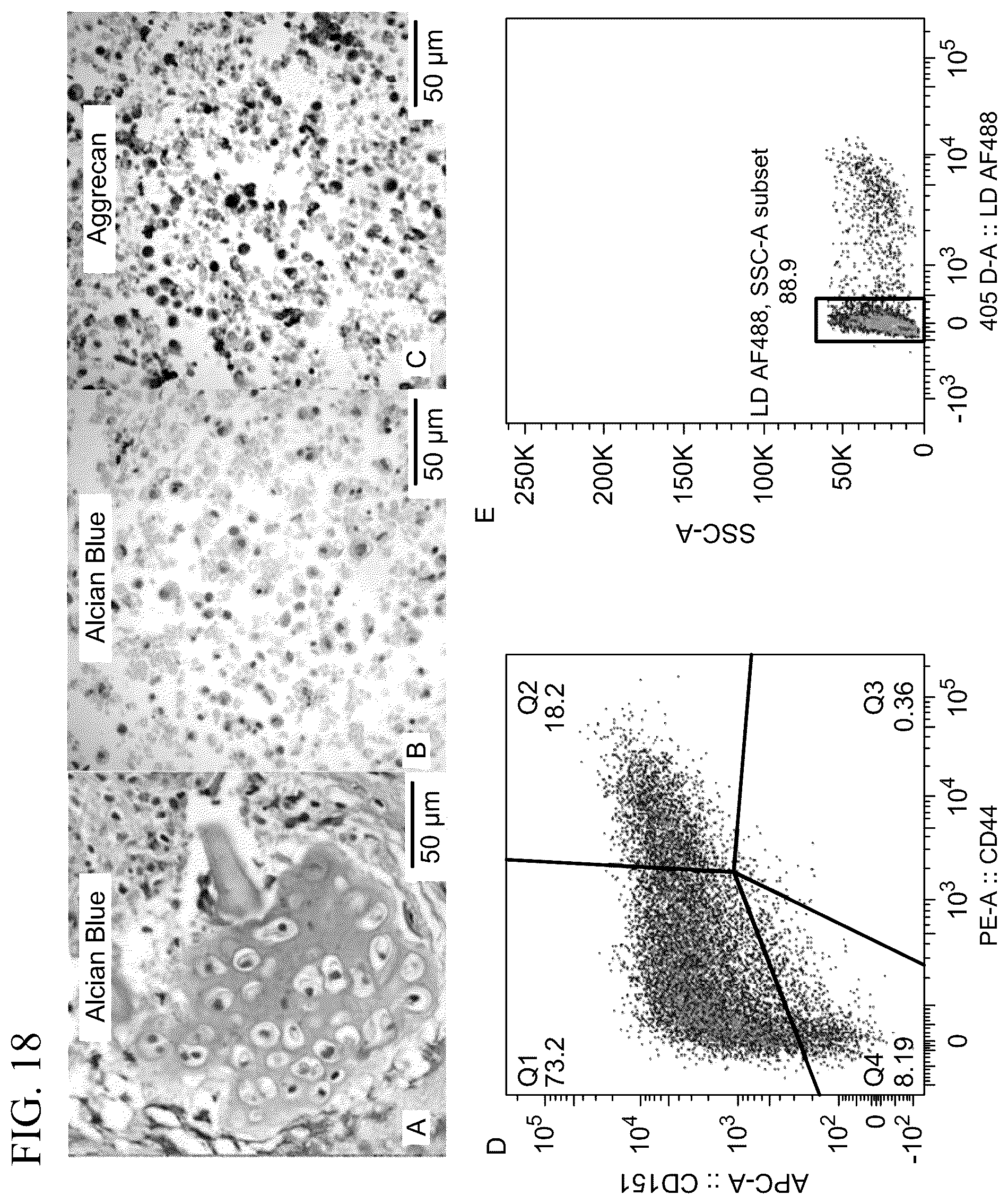 Patent US12139722 Figure 20 – Methods for generating and using organoids and tissue therein