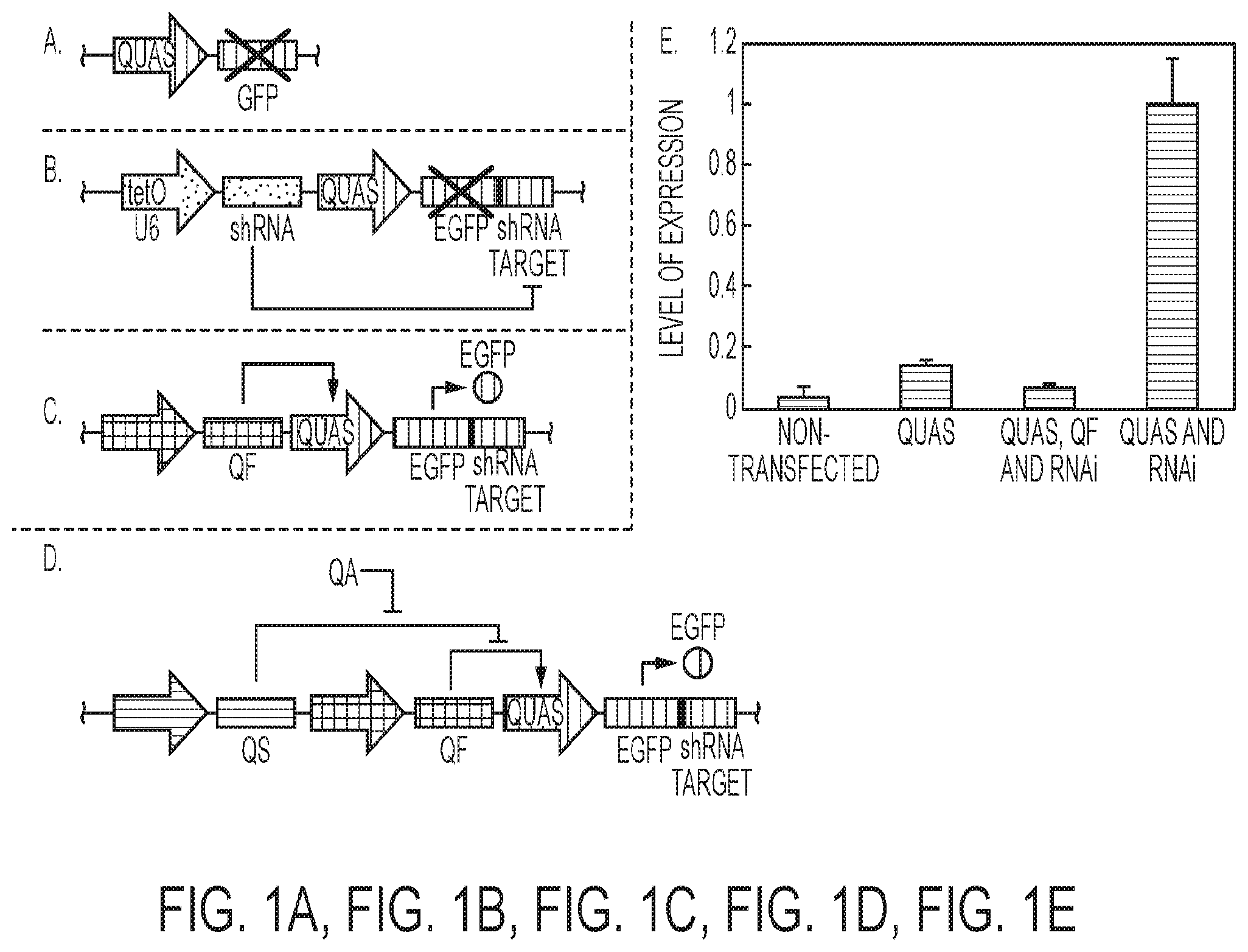 Patent US12139724 — Methods of making red blood cells and platelets in vitro and uses thereof — Figure 1