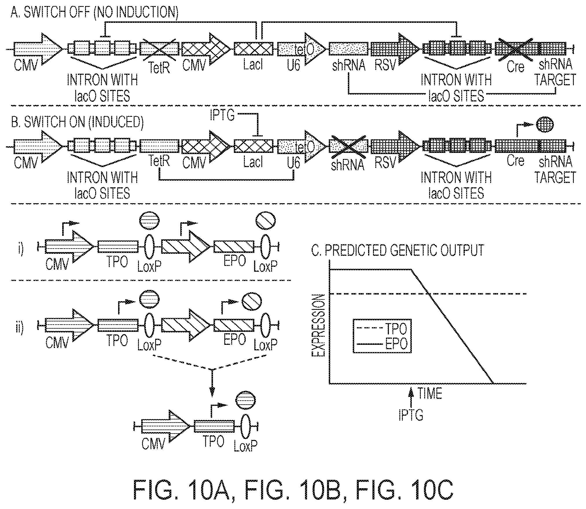 Patent US12139724 Figure 10 – Methods of making red blood cells and platelets in vitro and uses thereof