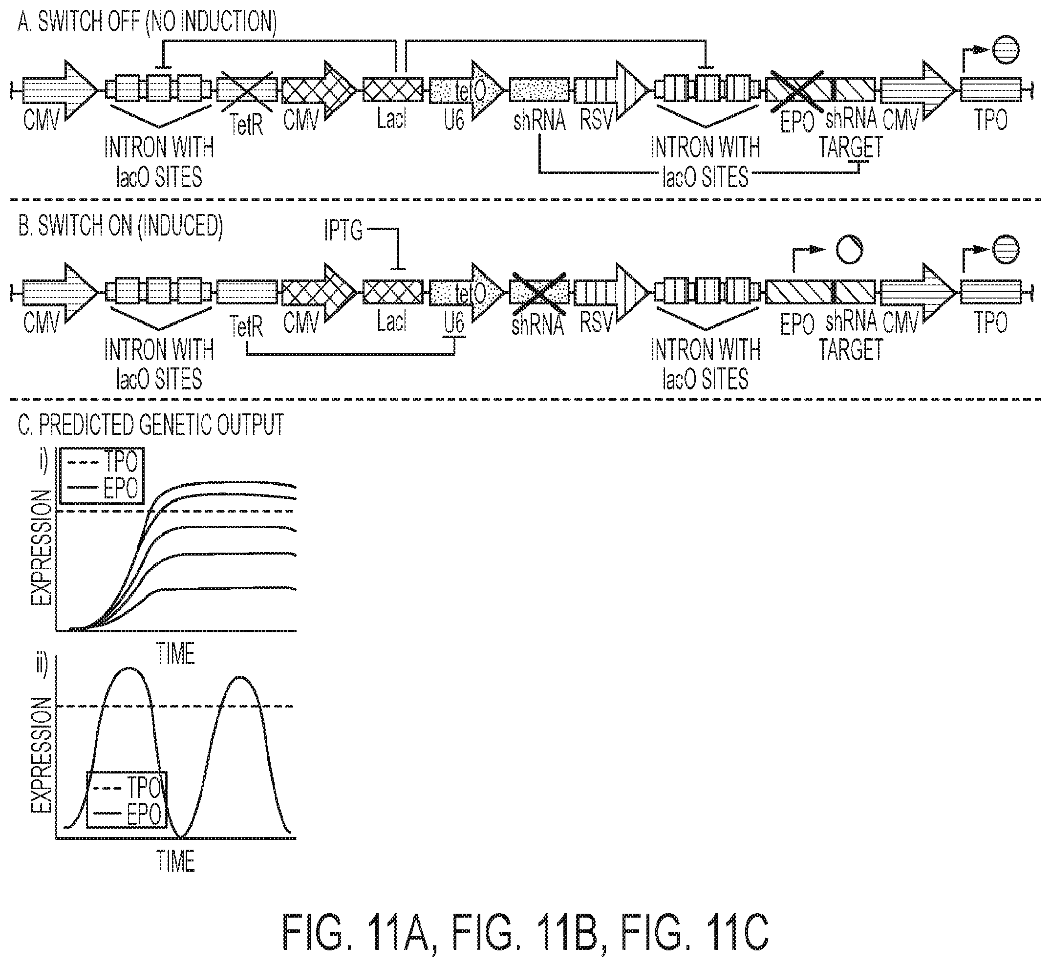 Patent US12139724 Figure 11 – Methods of making red blood cells and platelets in vitro and uses thereof