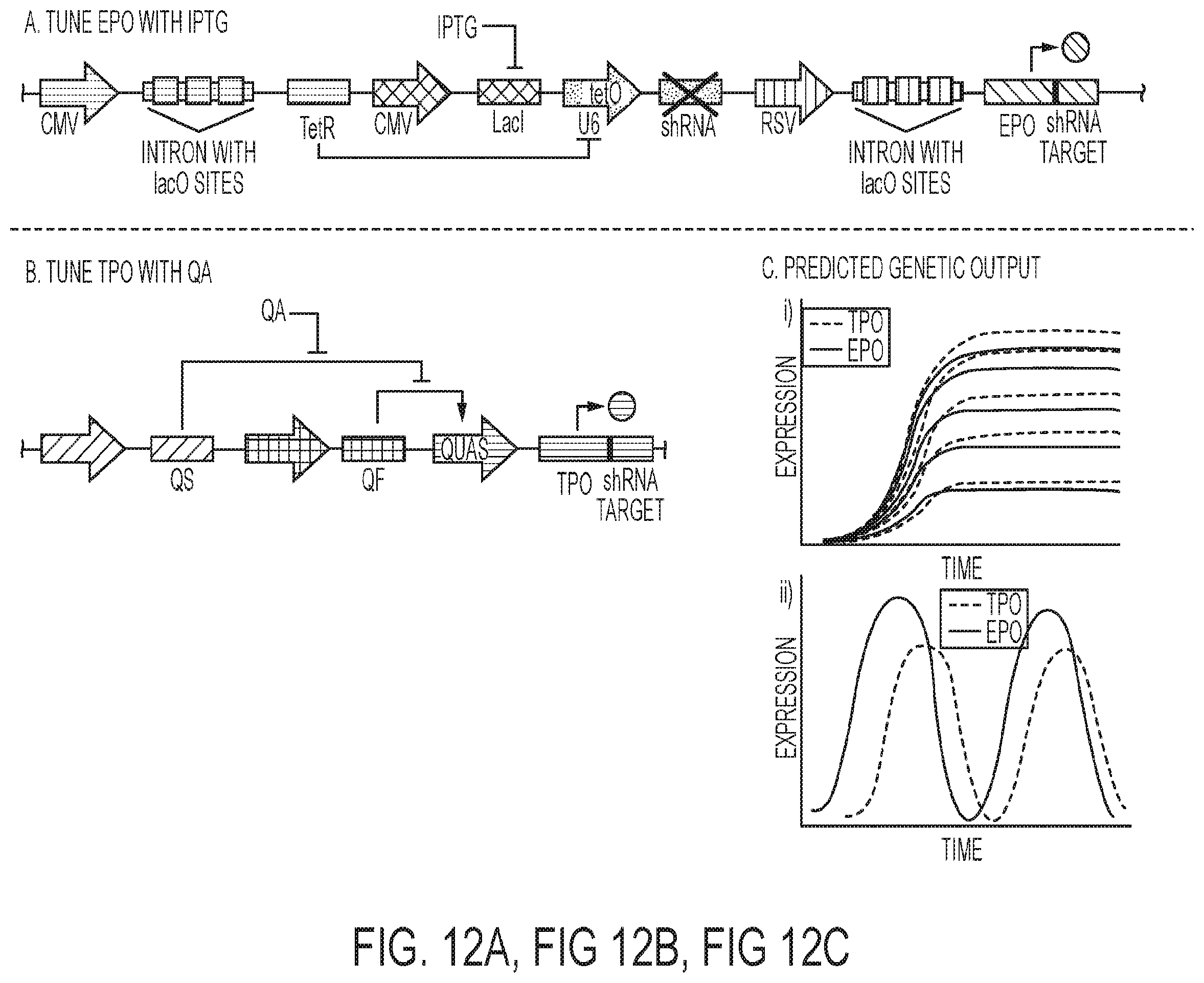 Patent US12139724 Figure 12 – Methods of making red blood cells and platelets in vitro and uses thereof