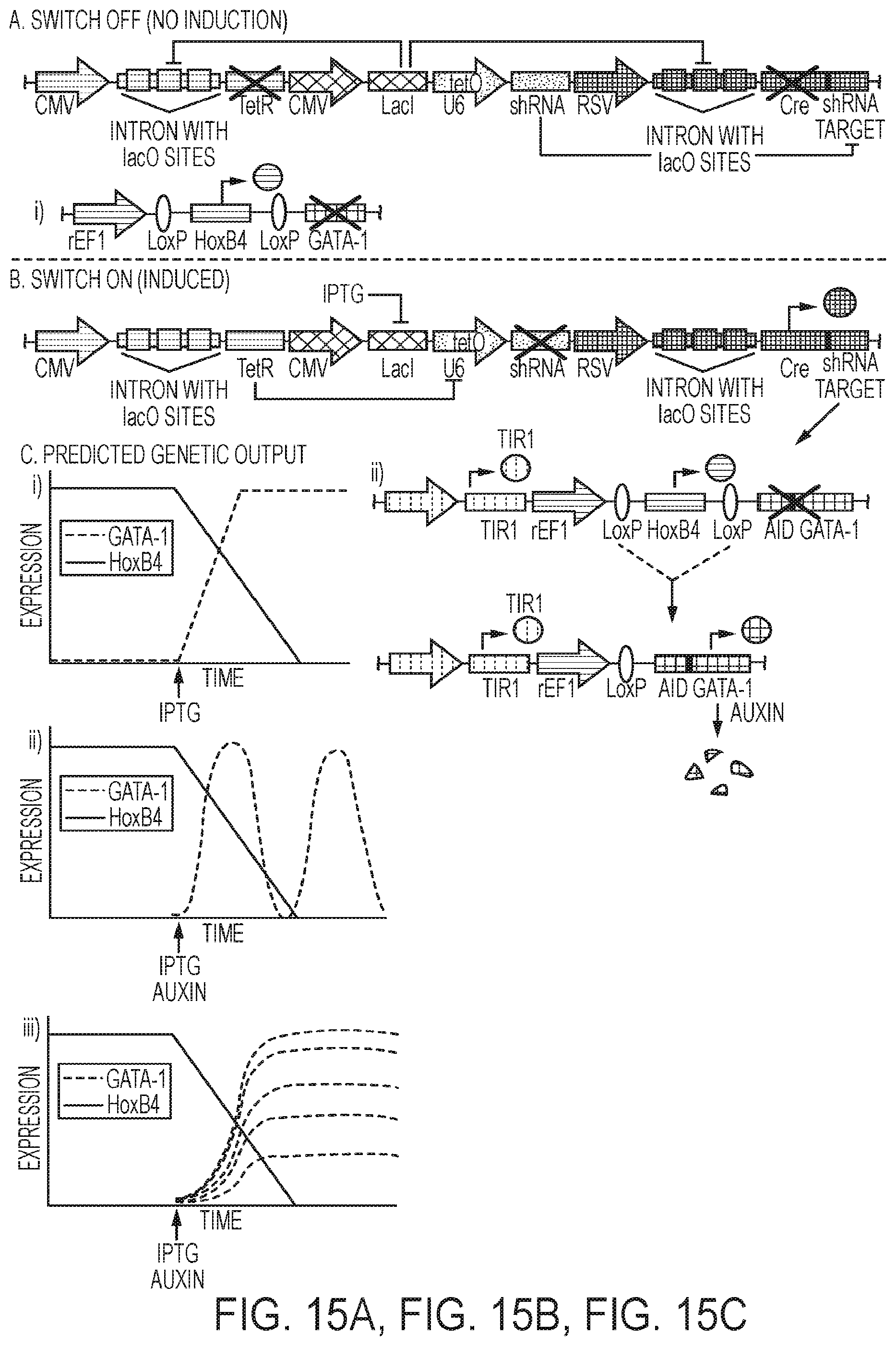 Patent US12139724 Figure 15 – Methods of making red blood cells and platelets in vitro and uses thereof
