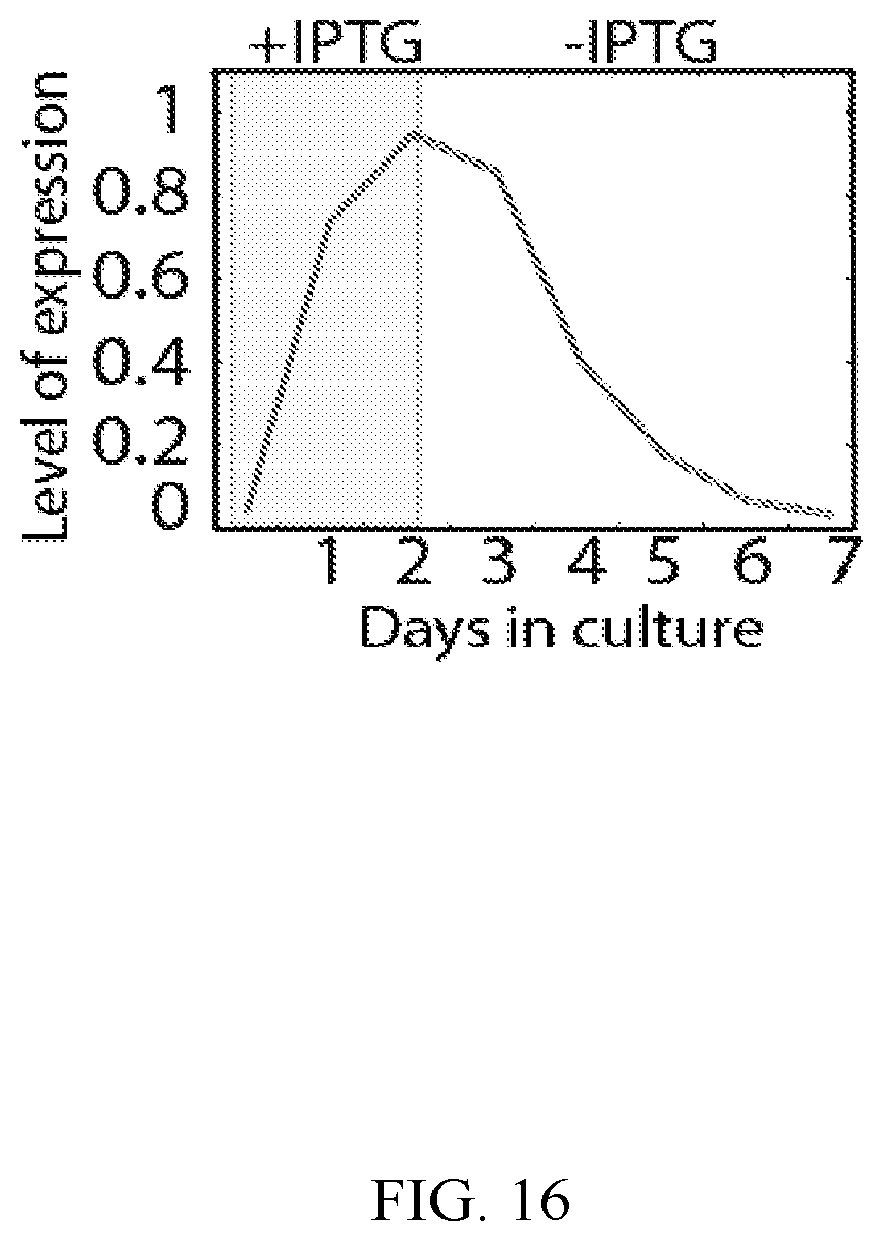 Patent US12139724 Figure 16 – Methods of making red blood cells and platelets in vitro and uses thereof