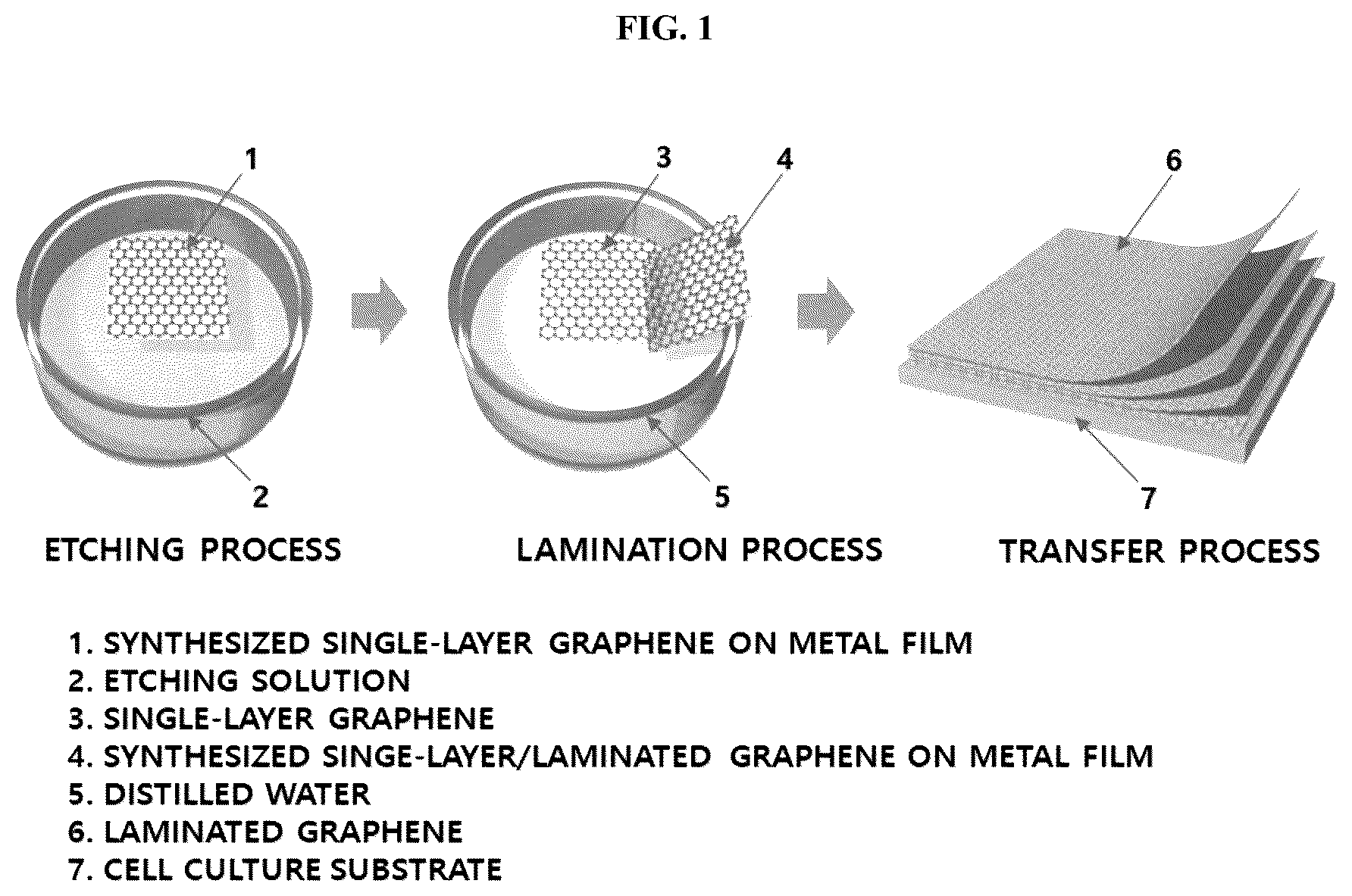 Patent US12139725 Figure 1 – Composition for promoting stem cell differentiation, comprising progenitor cell culture solution and multilayer graphene film, and use thereof