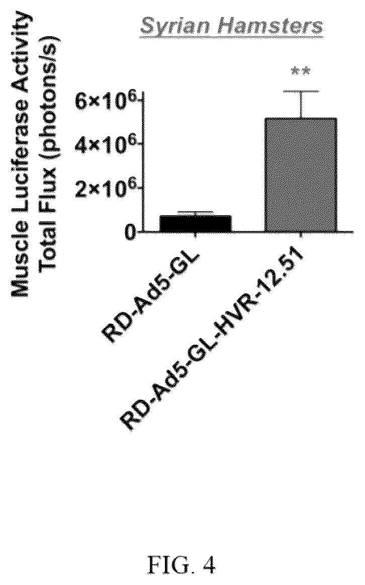 Patent US12139726 Figure 4 – Adenoviruses and methods for using adenoviruses