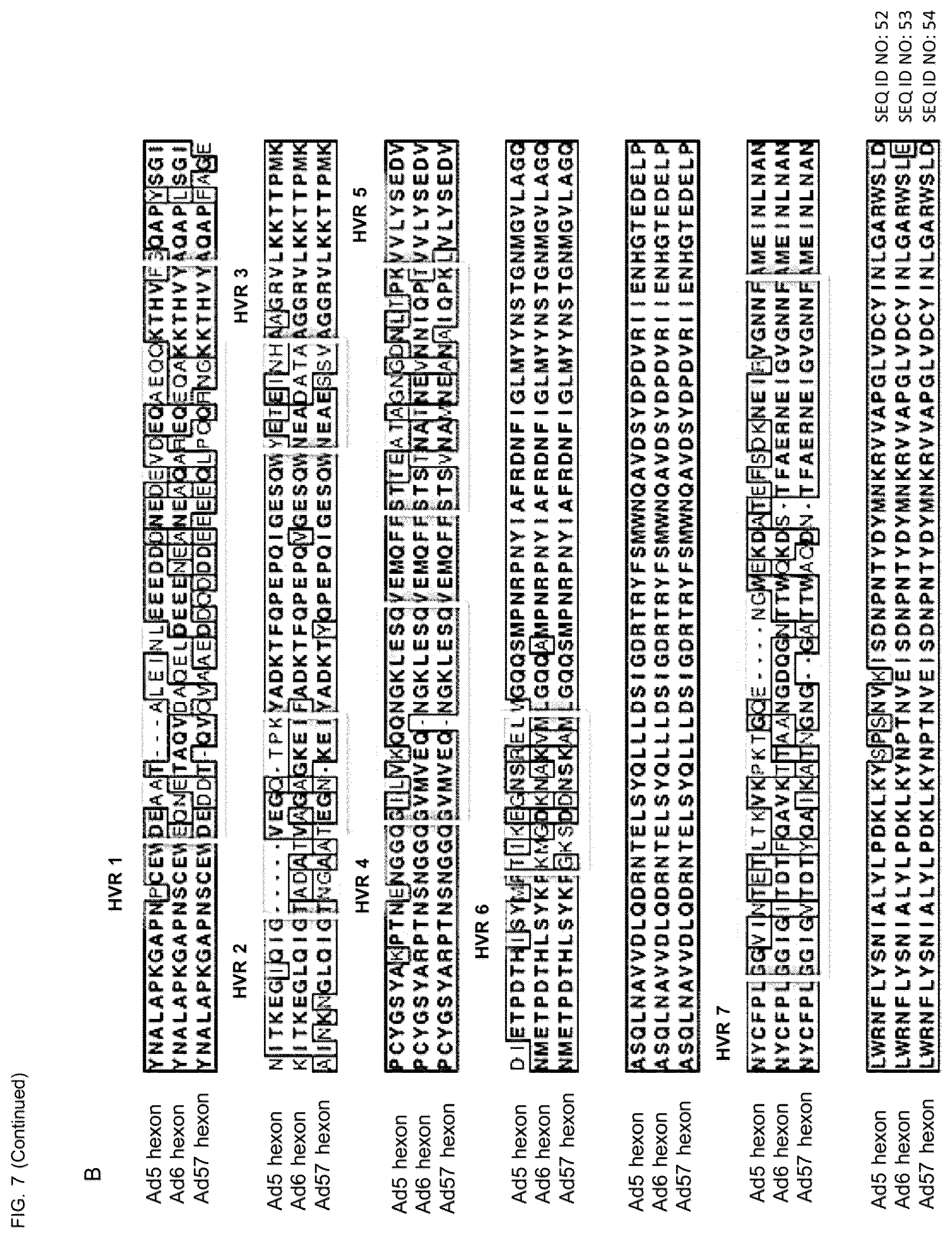 Patent US12139726 Figure 8 – Adenoviruses and methods for using adenoviruses