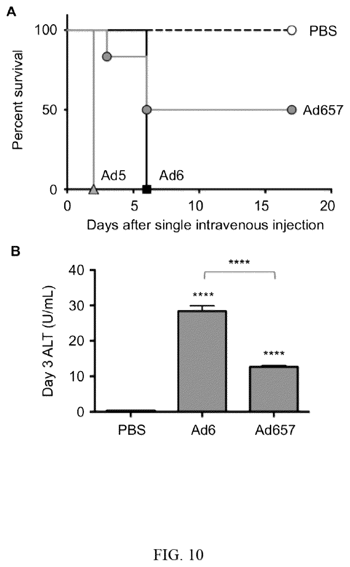 Patent US12139726 Figure 11 – Adenoviruses and methods for using adenoviruses