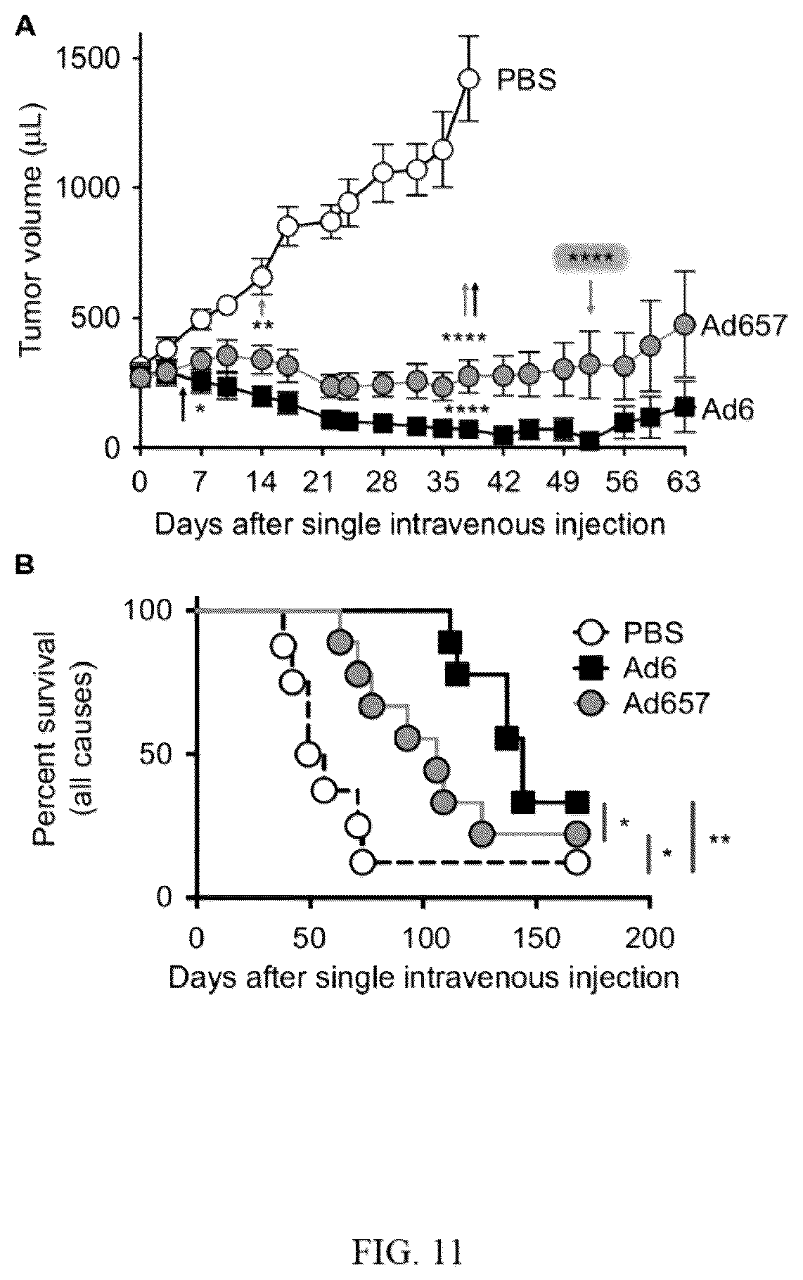 Patent US12139726 Figure 12 – Adenoviruses and methods for using adenoviruses
